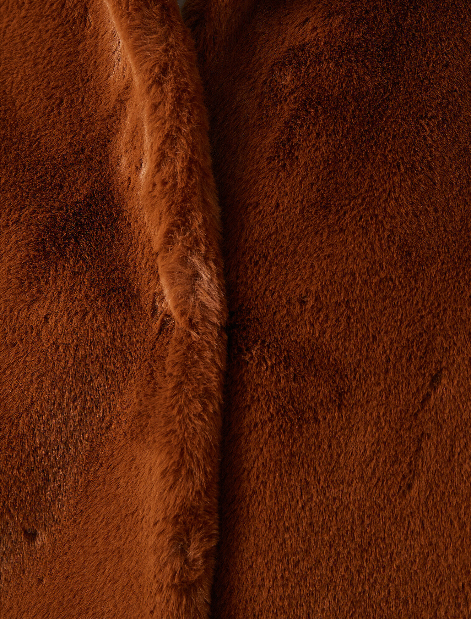   Çıtçıtlı Peluş Mont