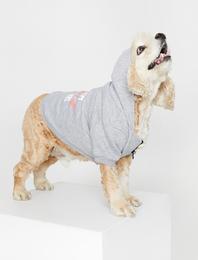 Kapüşonlu Köpek Sweatshirt