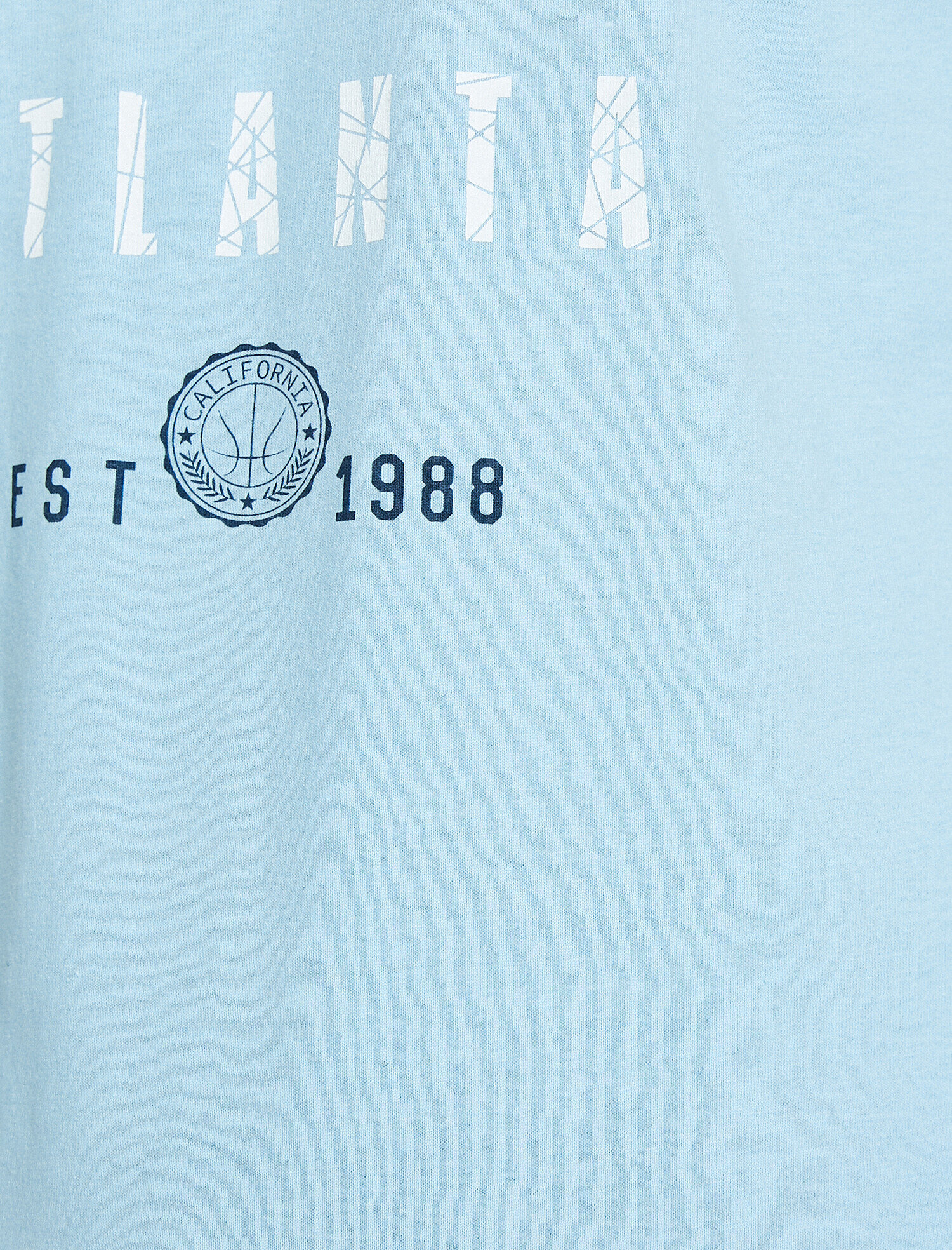 Baskılı Tişört Kısa Kollu