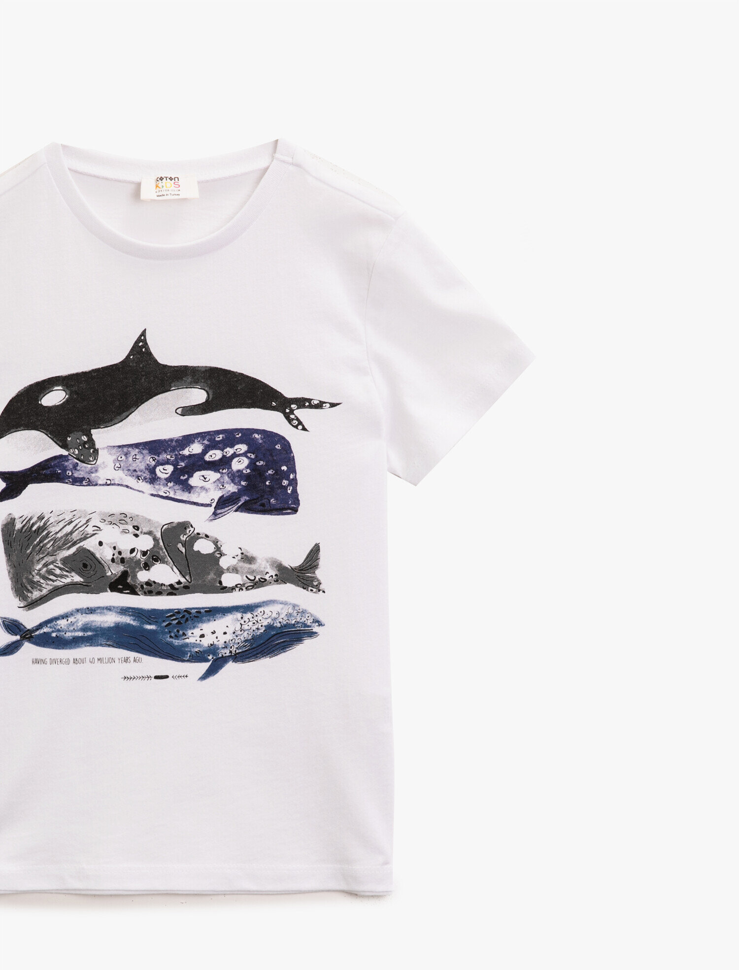  Erkek Çocuk Bisiklet Yaka Tişört Baskılı Kısa Kollu