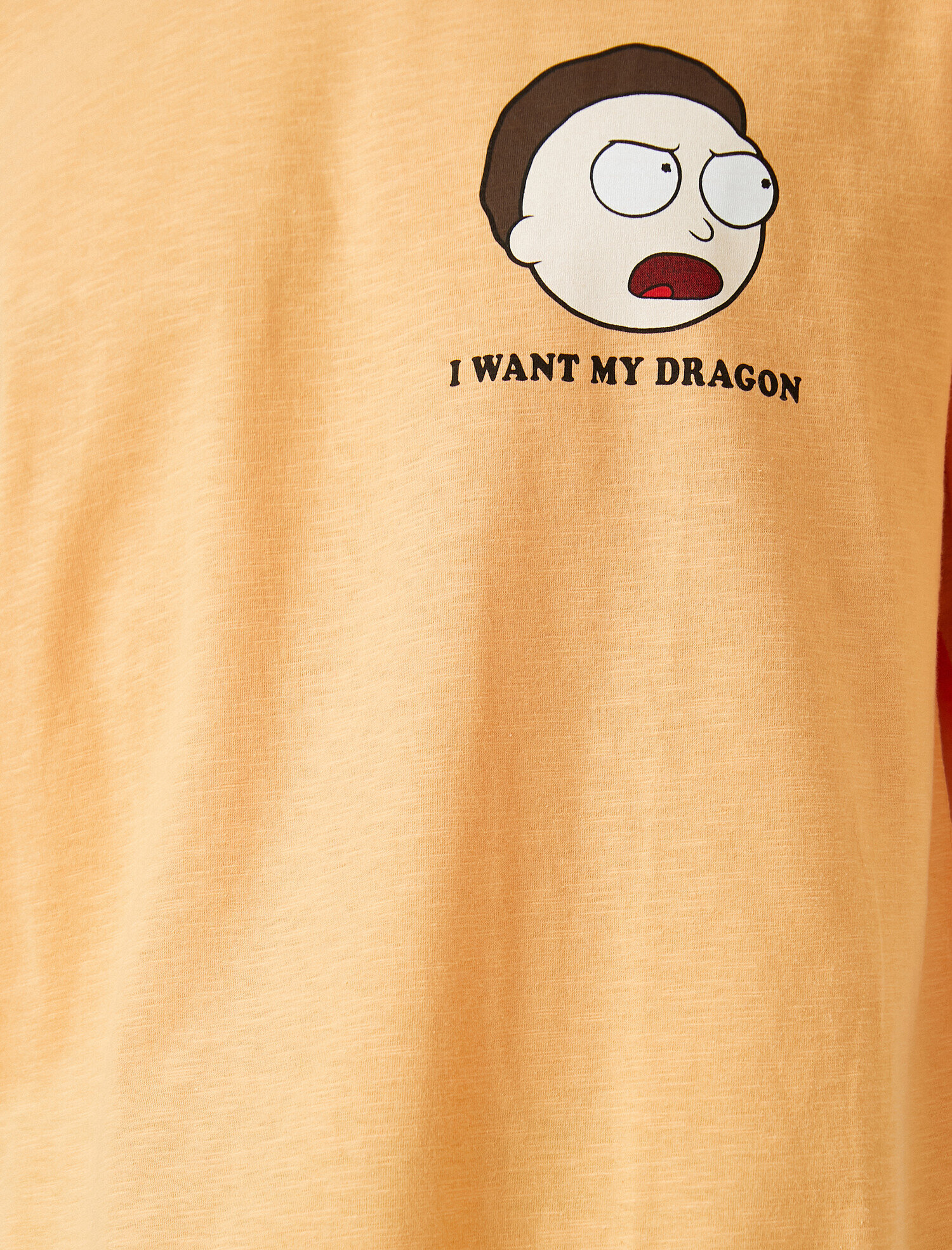   Rick and Morty Oversize Tişört Lisanslı Baskılı