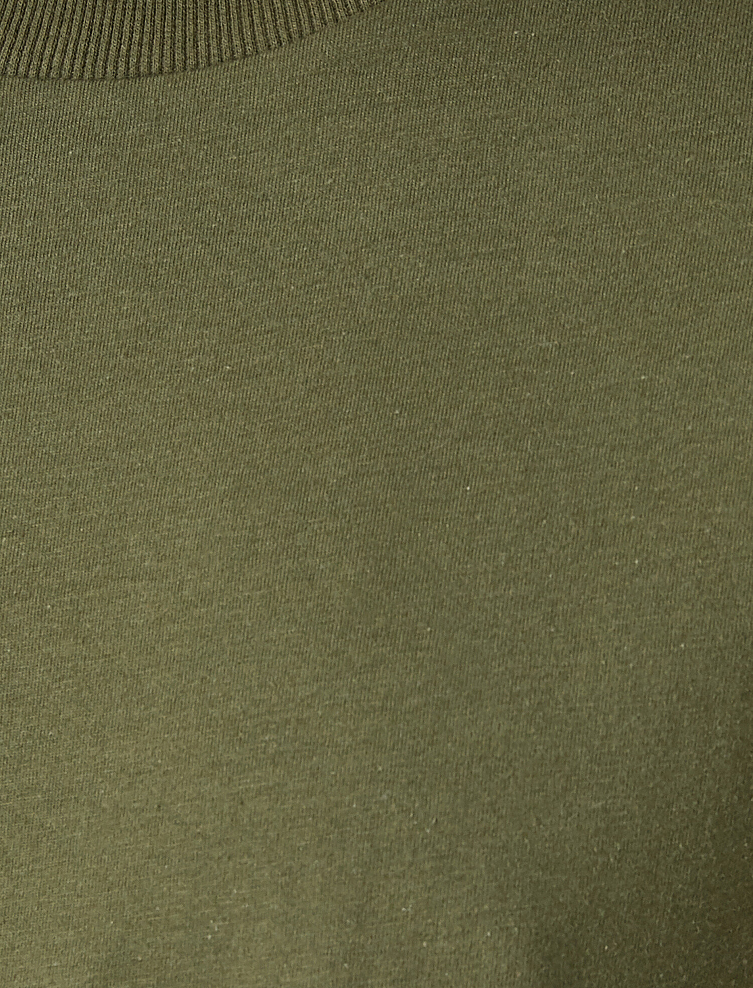 Regular Fit Basic Tişört