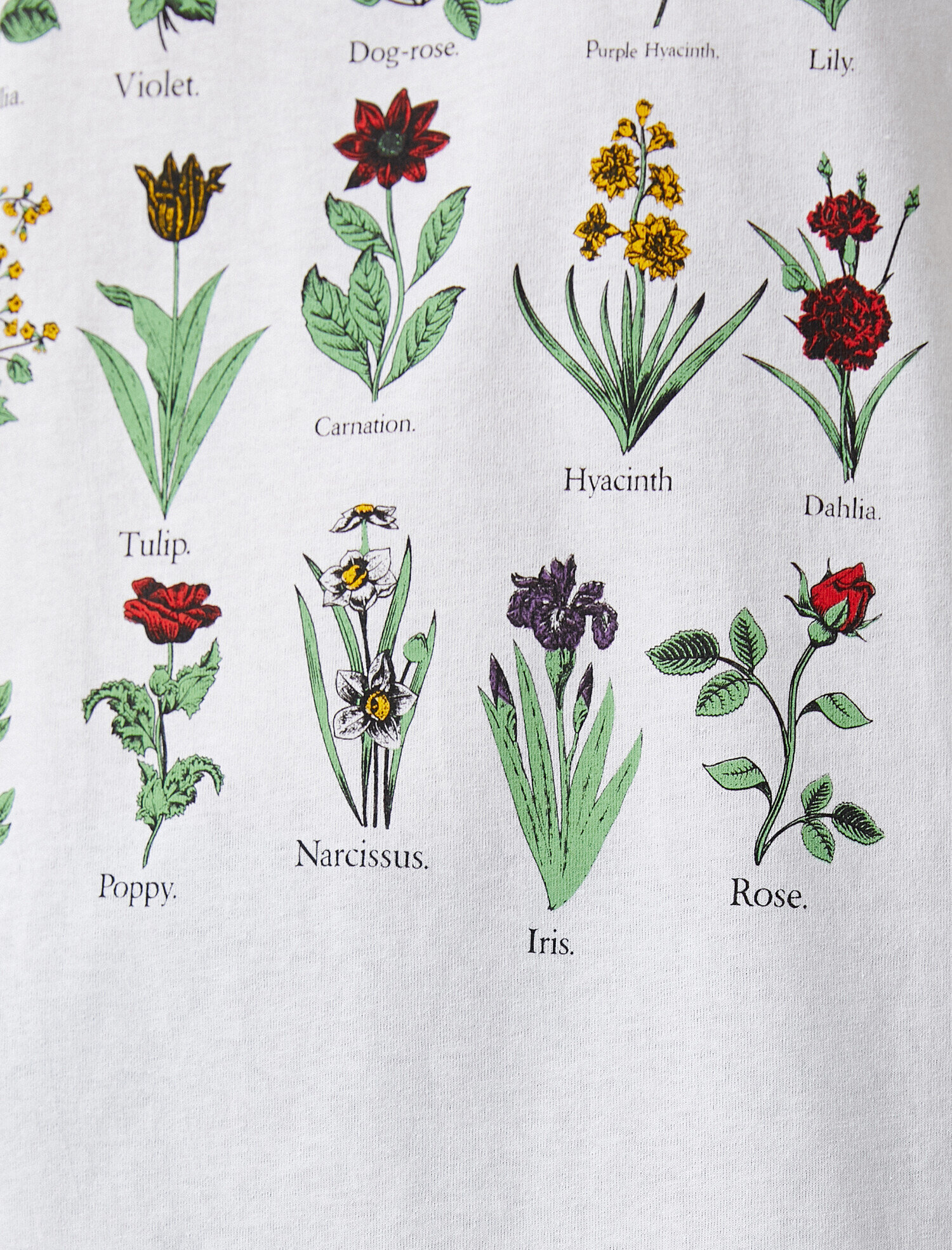   Baskılı Kısa Kollu Pamuklu Tişört