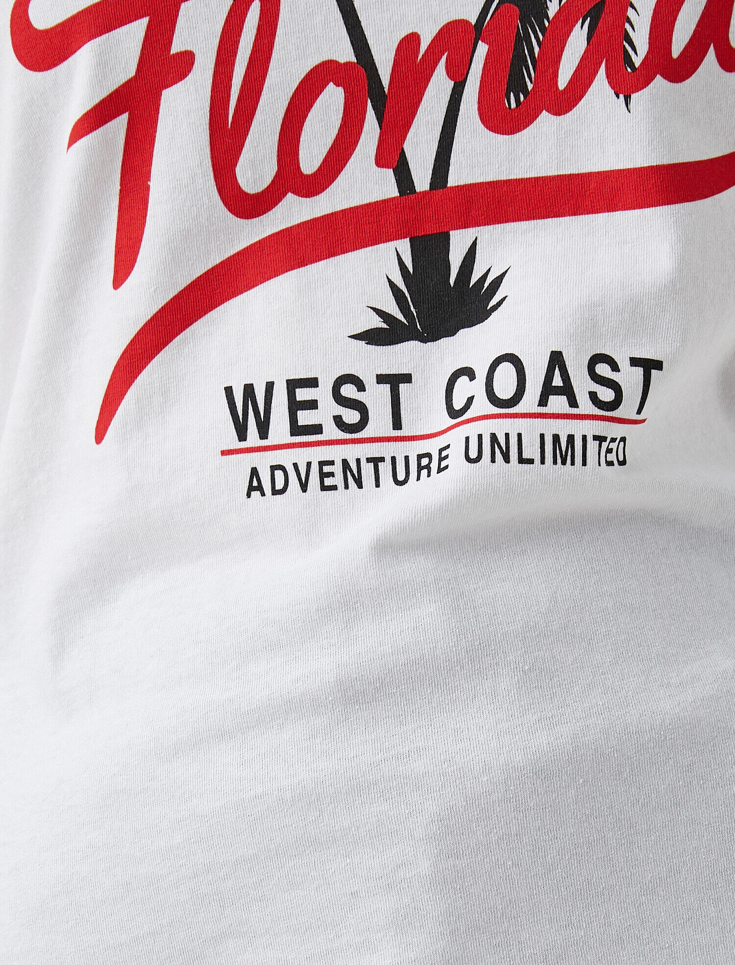   Baskılı Kısa Kollu Pamuklu Tişört