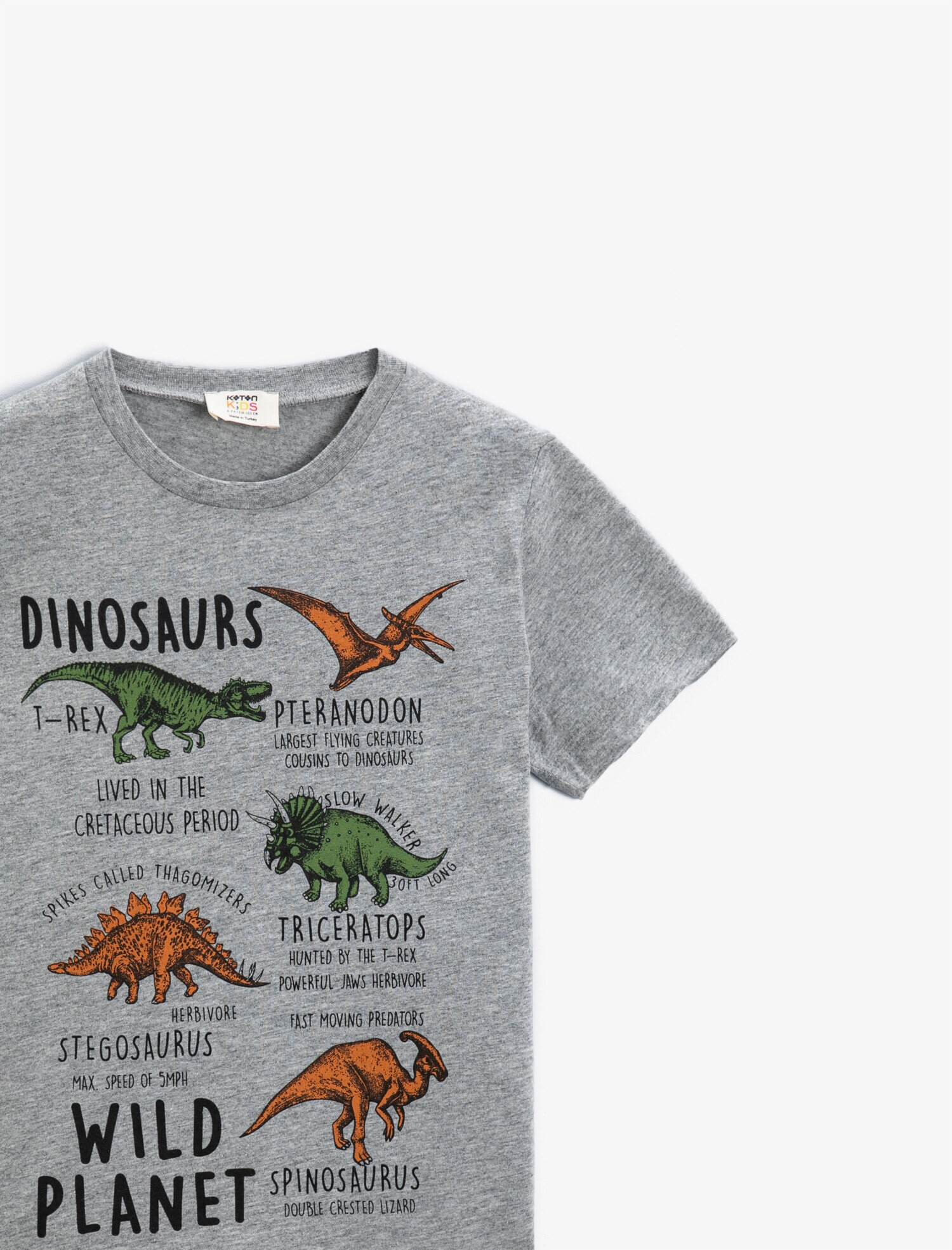  Erkek Çocuk Dinozor Baskılı Kısa Kollu Tişört Bisiklet Yaka