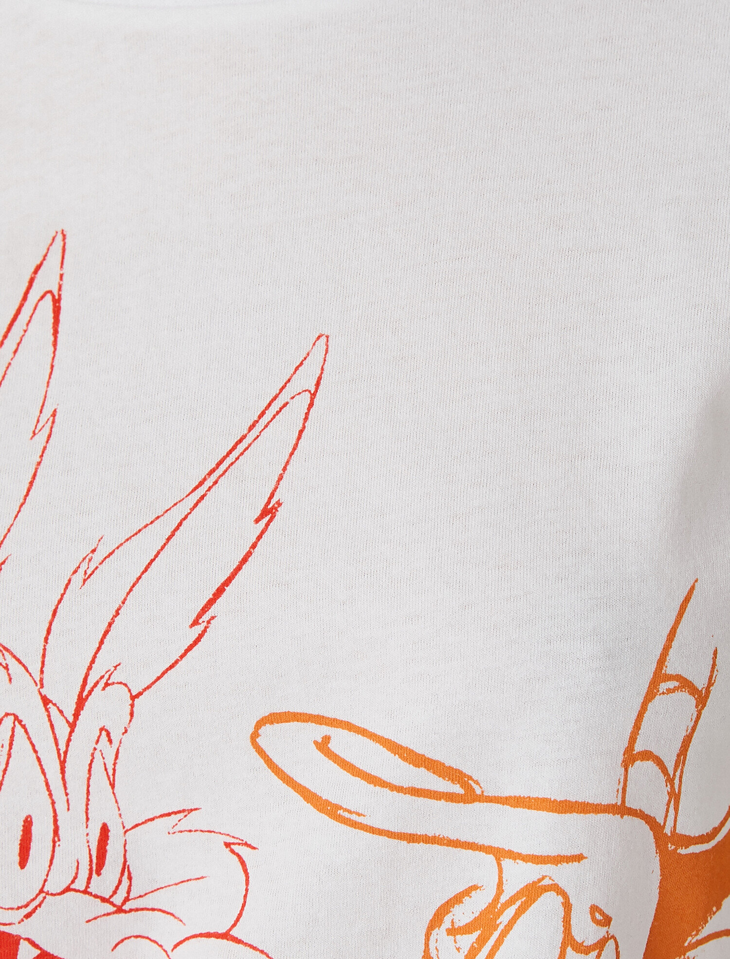   Looney Tunes Lisanslı Kısa Kollu Tişört