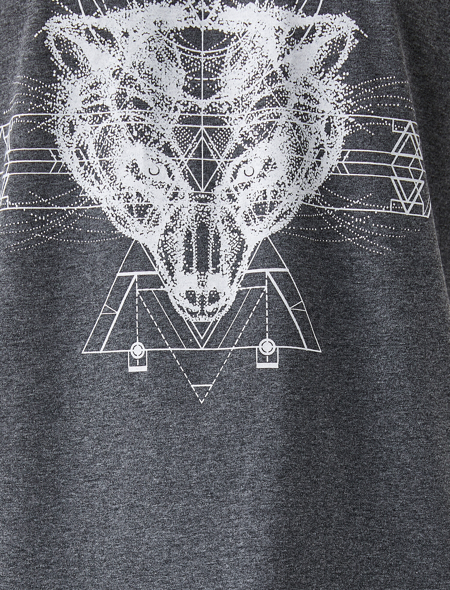   Standart Fit Kurt Baskılı Tişört