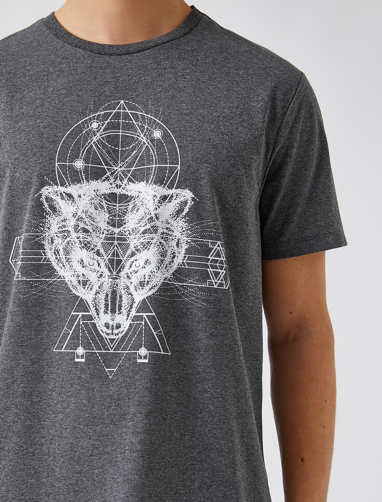   Standart Fit Kurt Baskılı Tişört