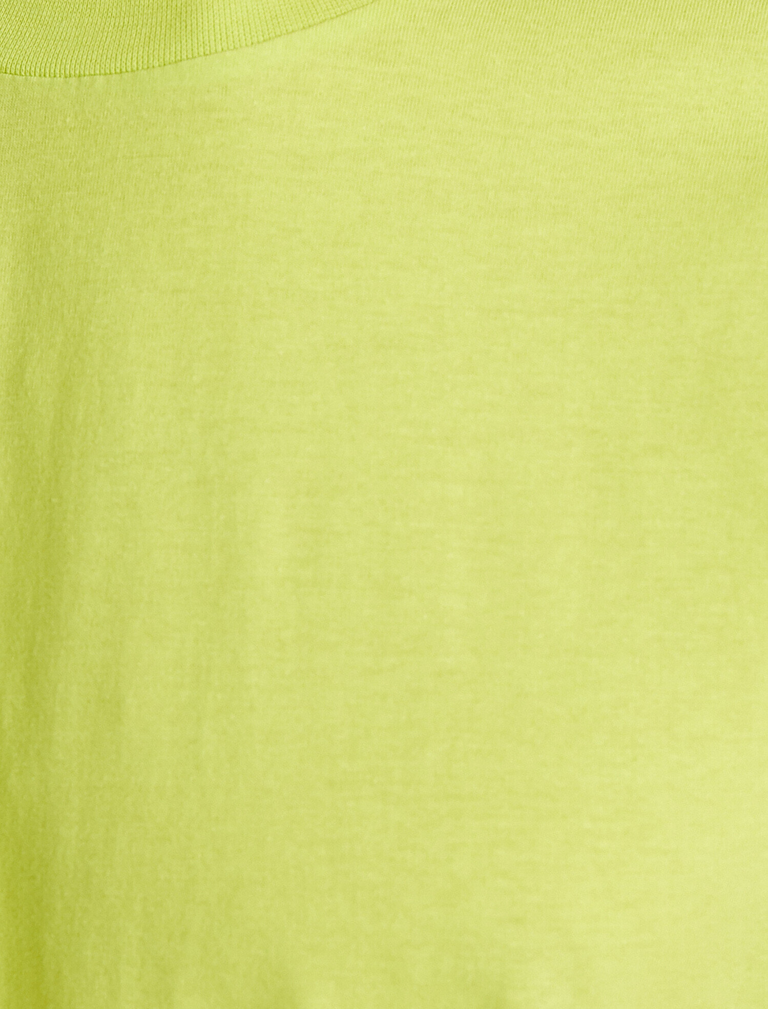   Basic Uzun Tişört Bisiklet Yaka