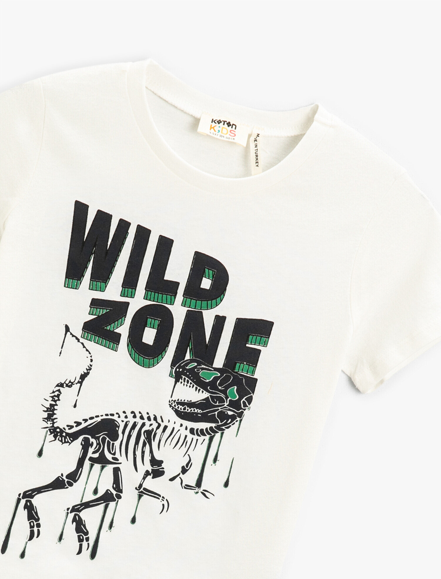  Erkek Çocuk Dinozor Baskılı Kısa Kollu Tişört Pamuklu