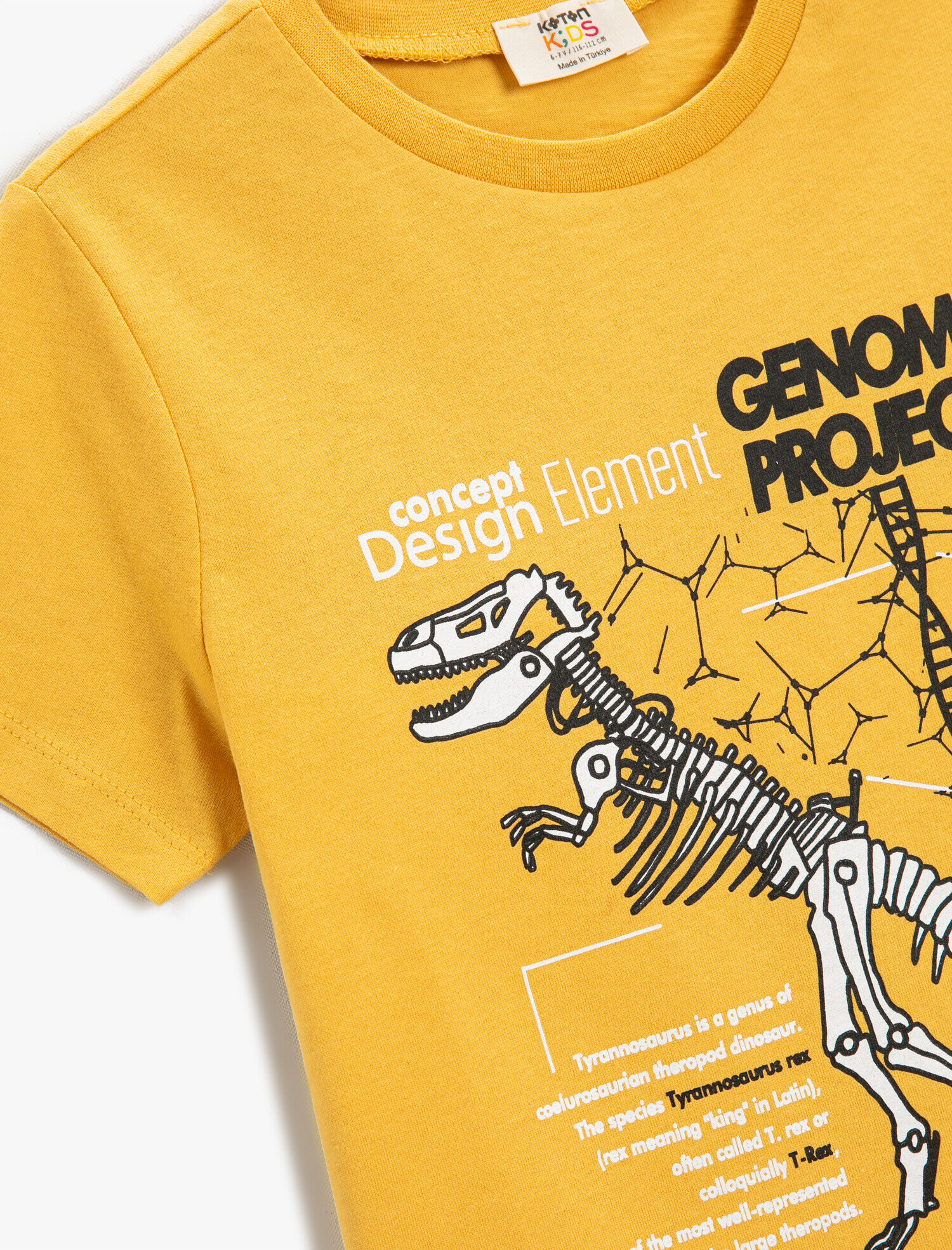  Erkek Çocuk Dinozor Baskılı Pamuklu Bisiklet Yaka Kısa Kollu Tişört