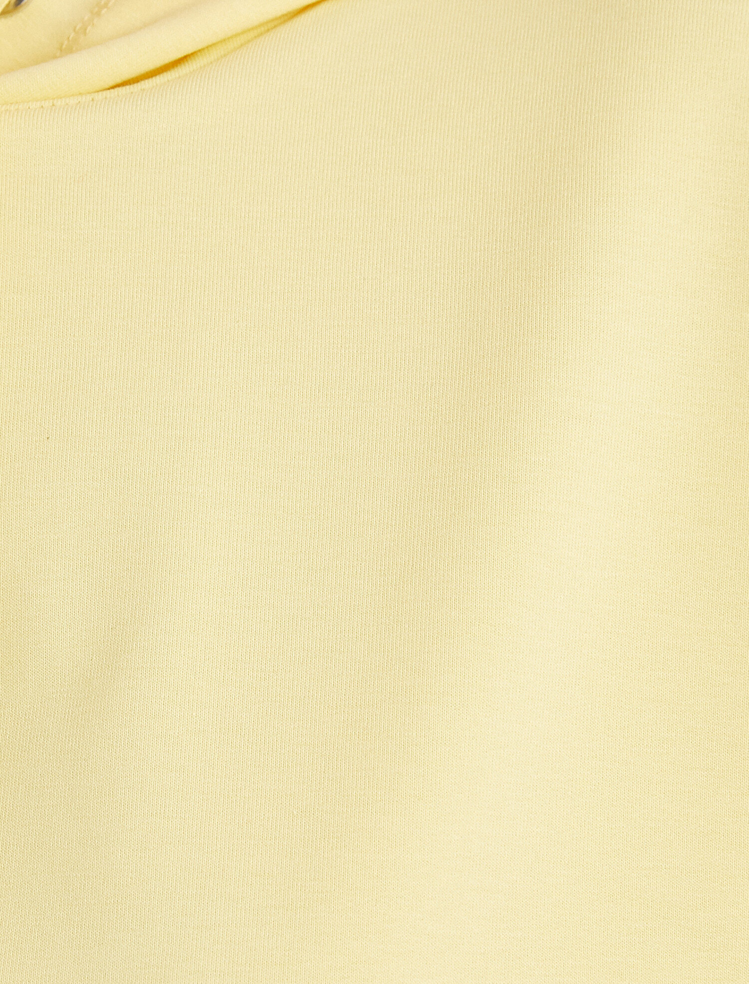   Crop Sweatshirt Kapüşonlu Kısa Kollu