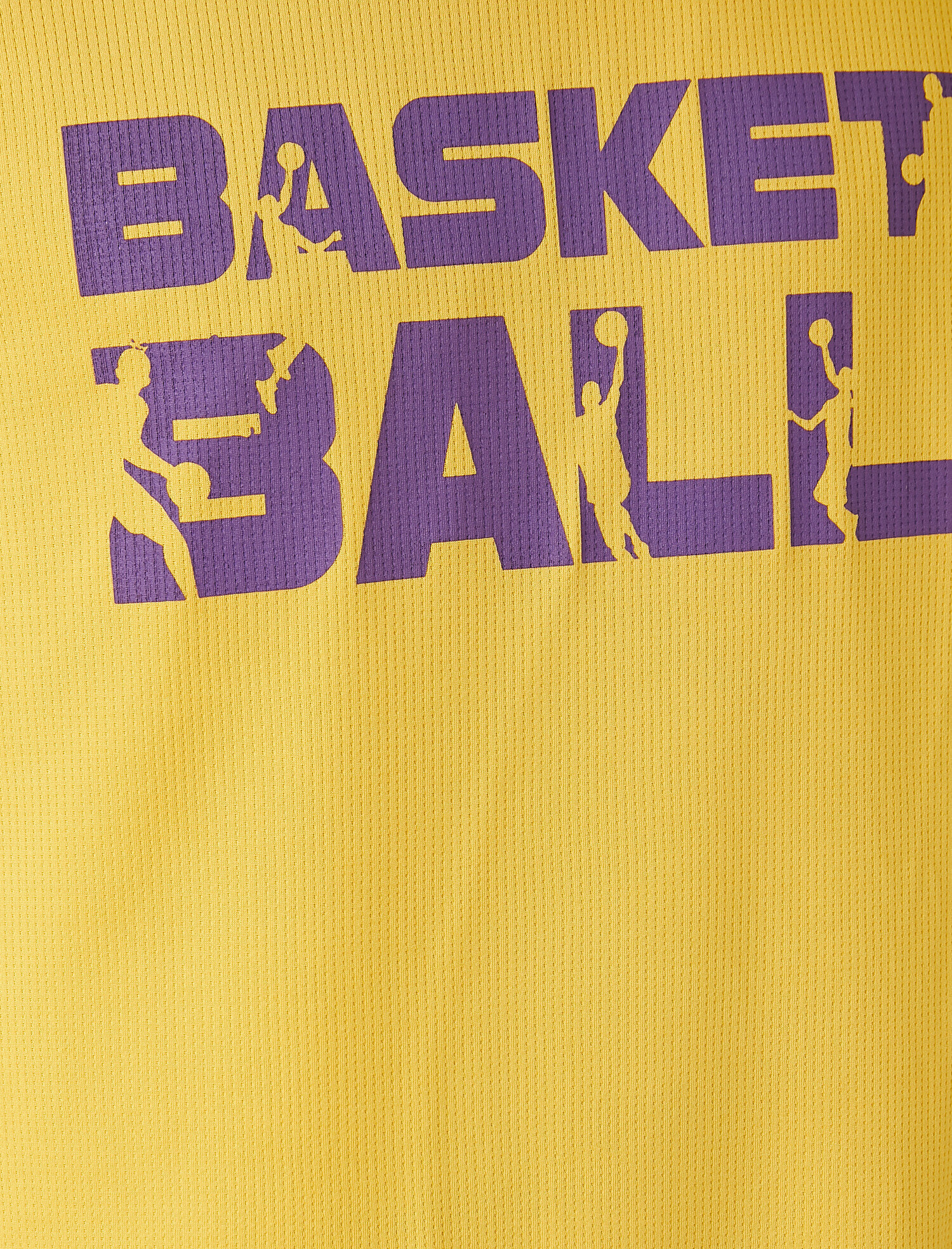   Basketbol Baskılı Sporcu Atleti