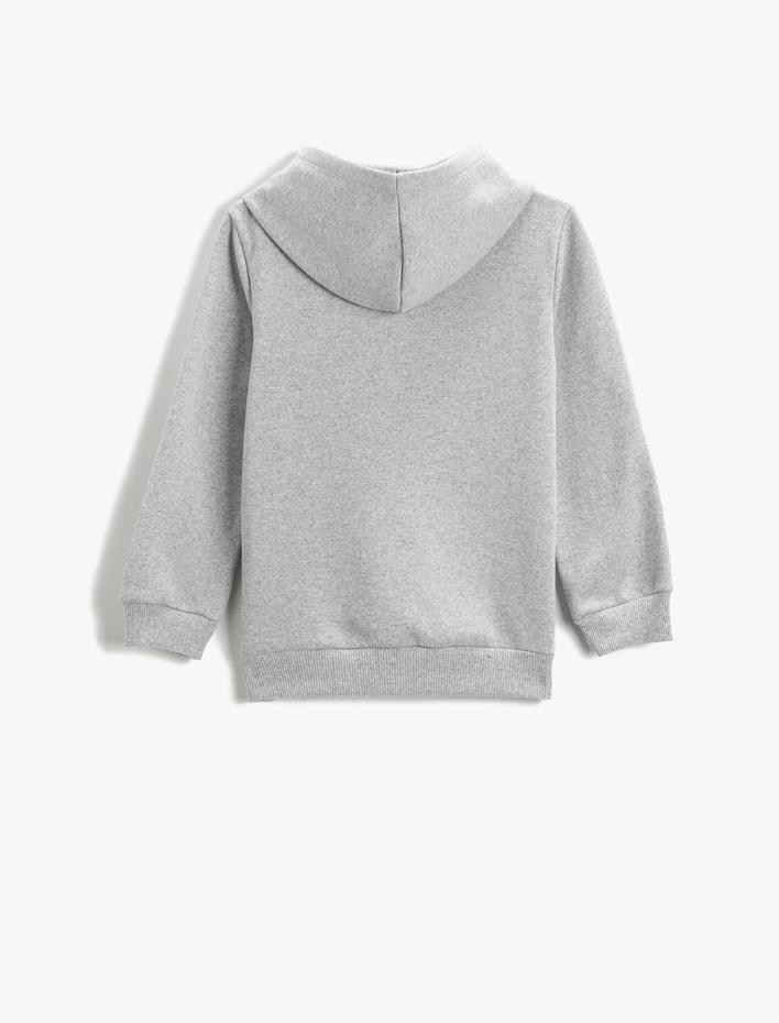 Erkek Çocuk Kapüşonlu Sweatshirt Peluş Aplike Detaylı