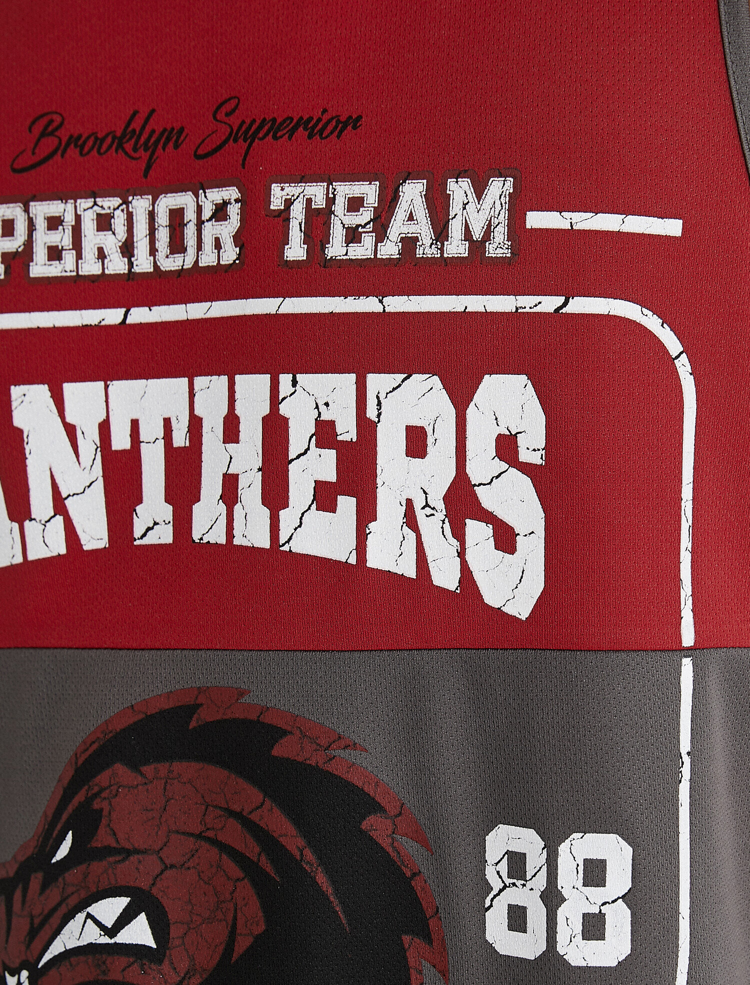   Basketbol Baskılı Atlet