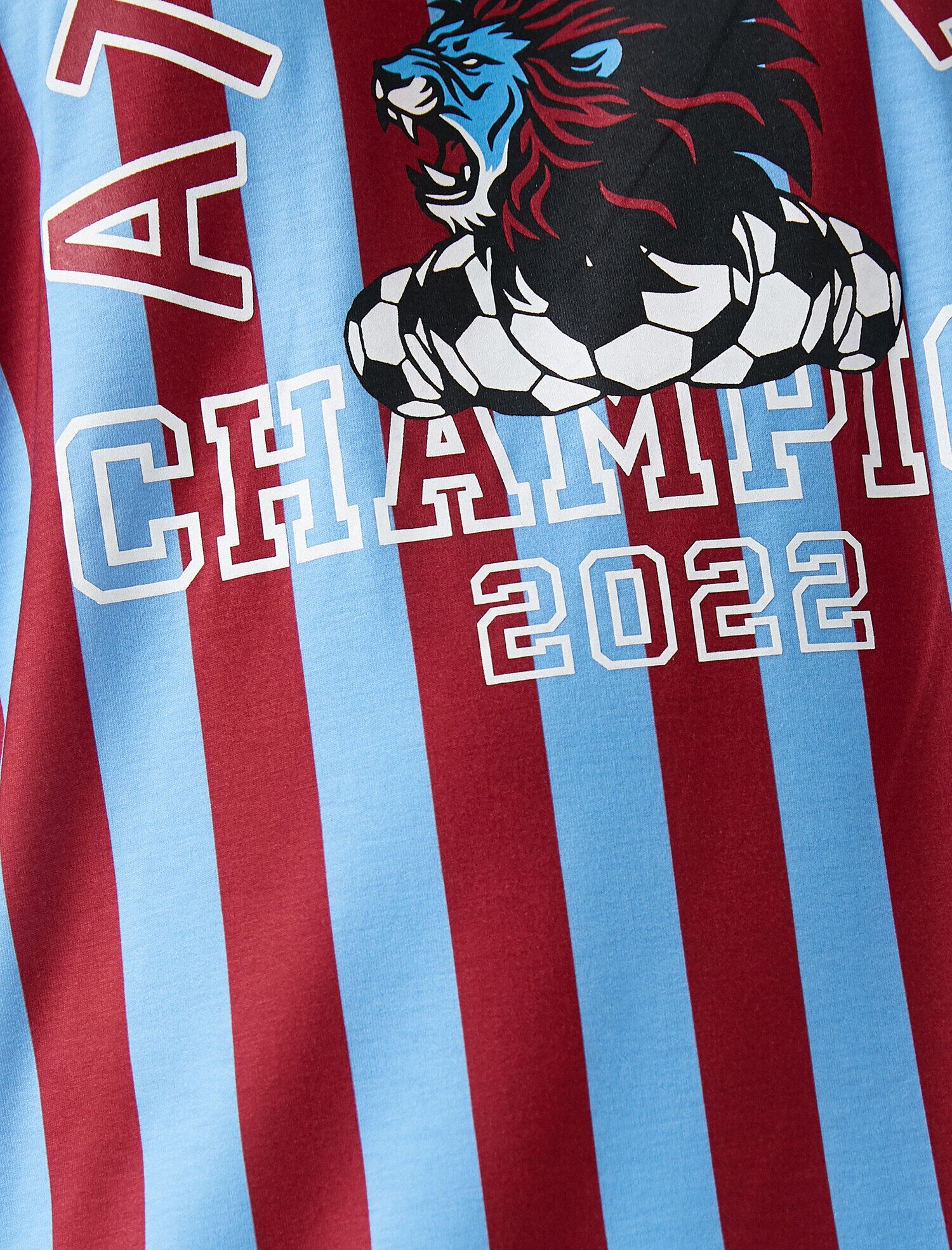   Şampiyon Baskılı Çizgili Tişört