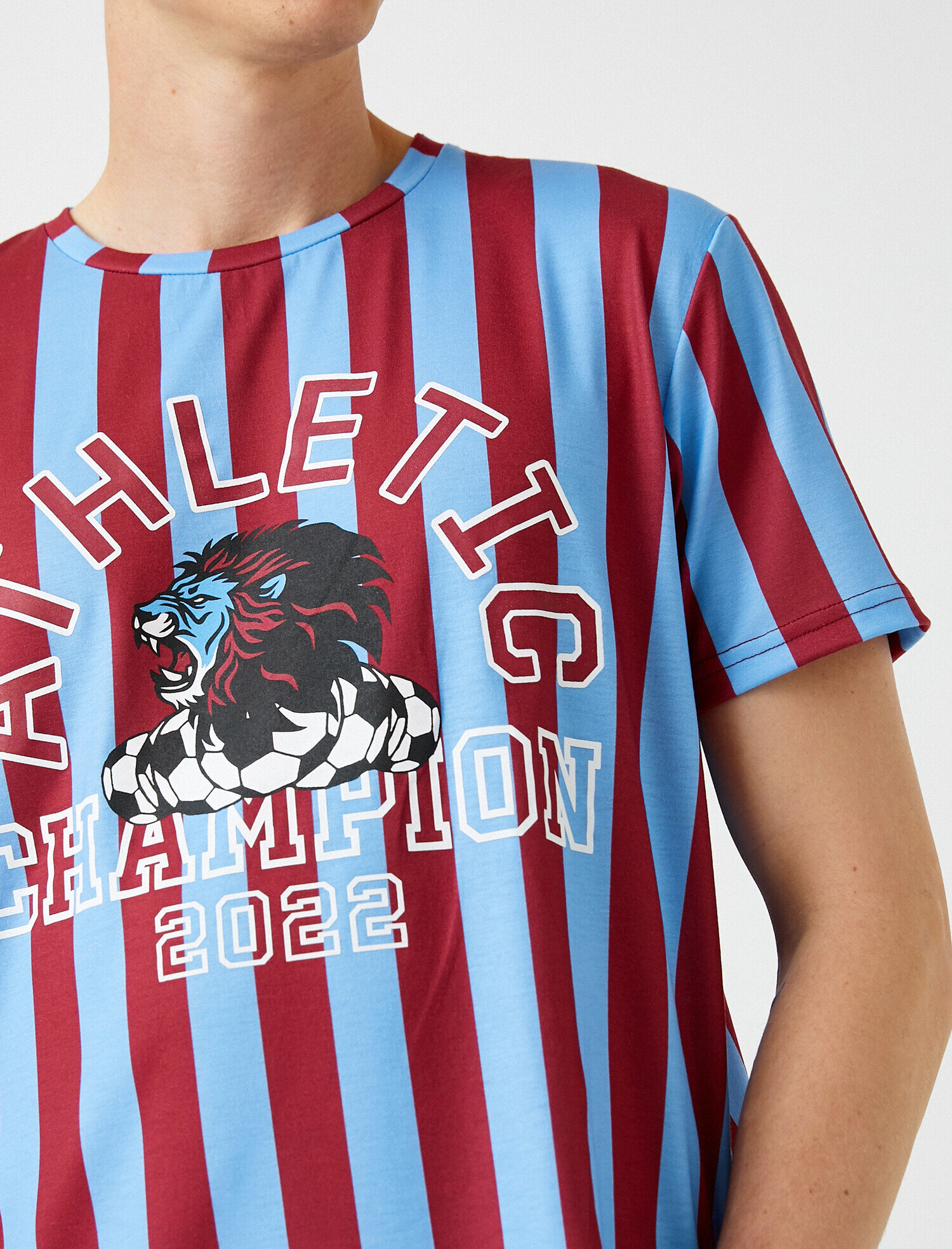   Şampiyon Baskılı Çizgili Tişört