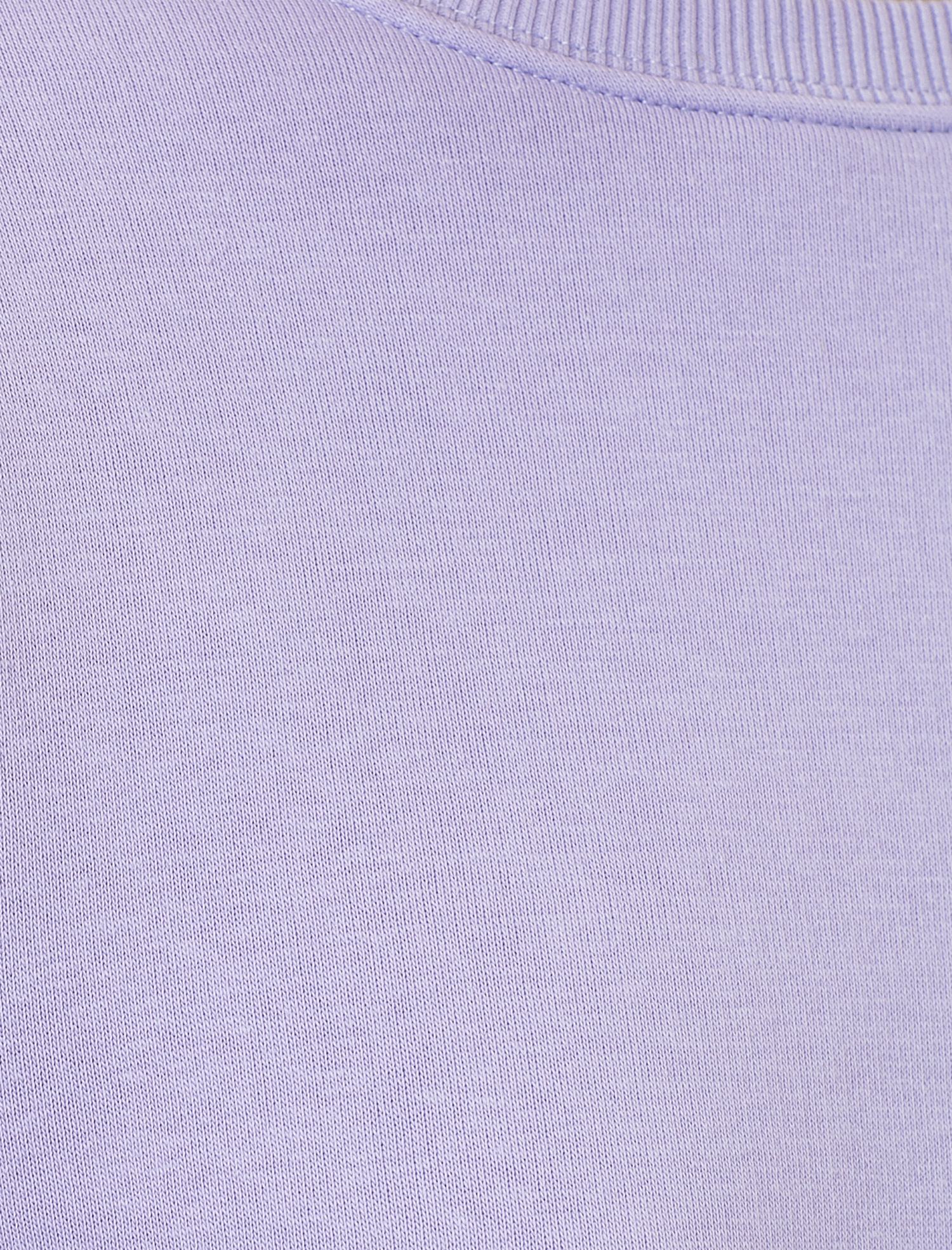   Bisiklet Yaka Düz Crop Sweatshirt