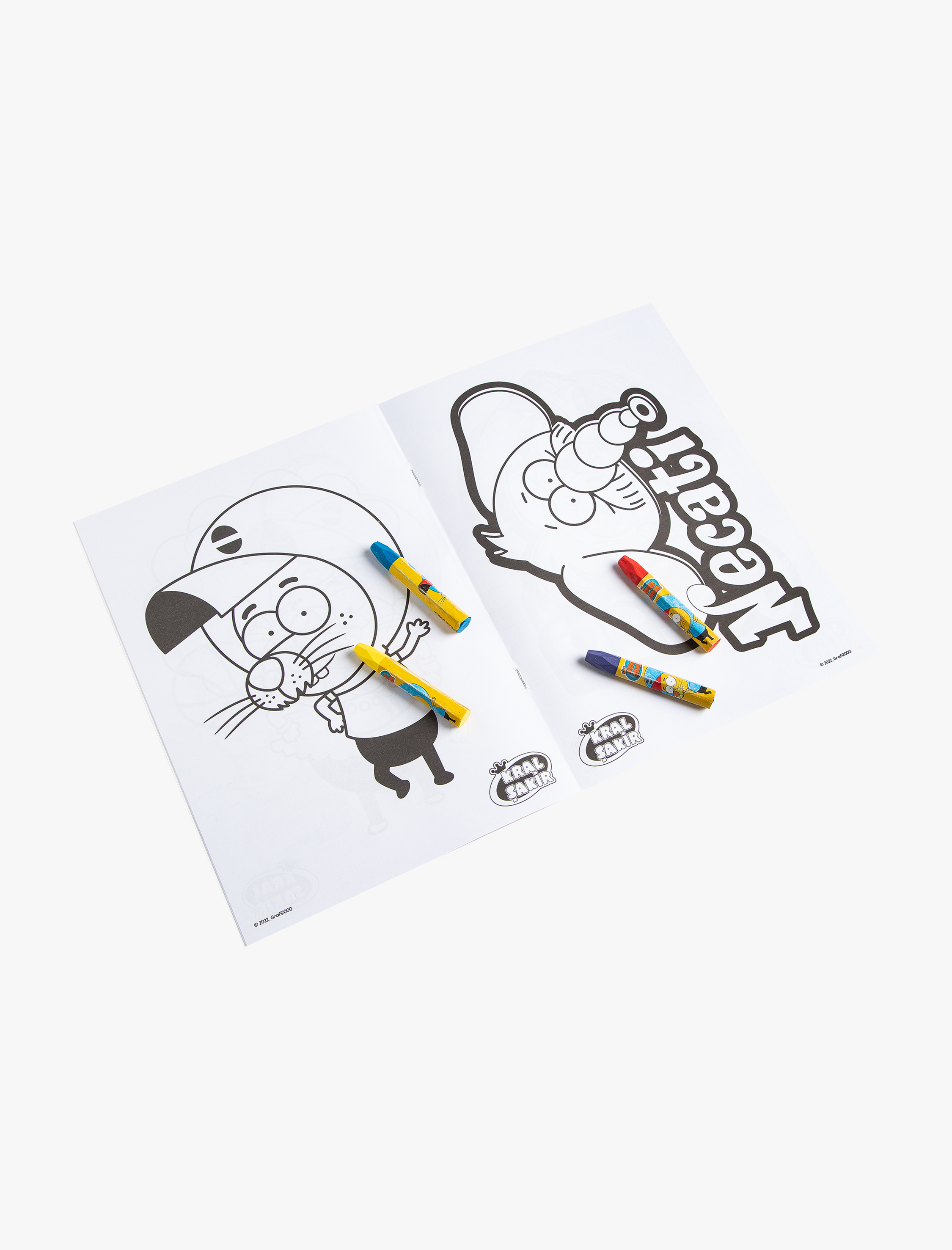  Kadın Kral Şakir Lisanslı Boyama Seti