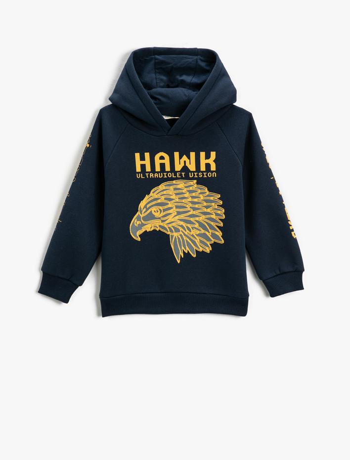 Erkek Çocuk Kartal Baskılı Kapüşonlu Sweatshirt