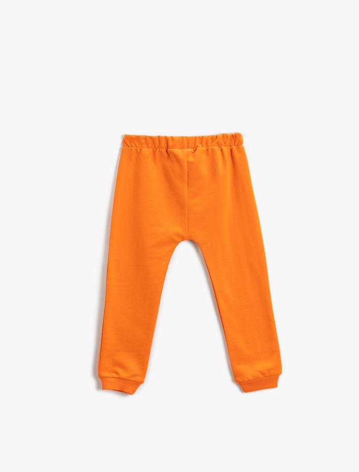 Erkek Bebek Aslan Baskı Detaylı Jogger Eşofman Altı