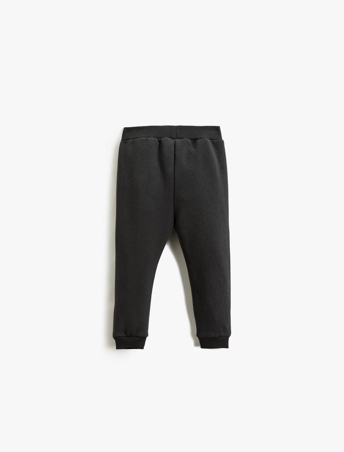 Erkek Bebek Dinozor Baskılı Jogger Eşofman Altı Beli Bağlamalı