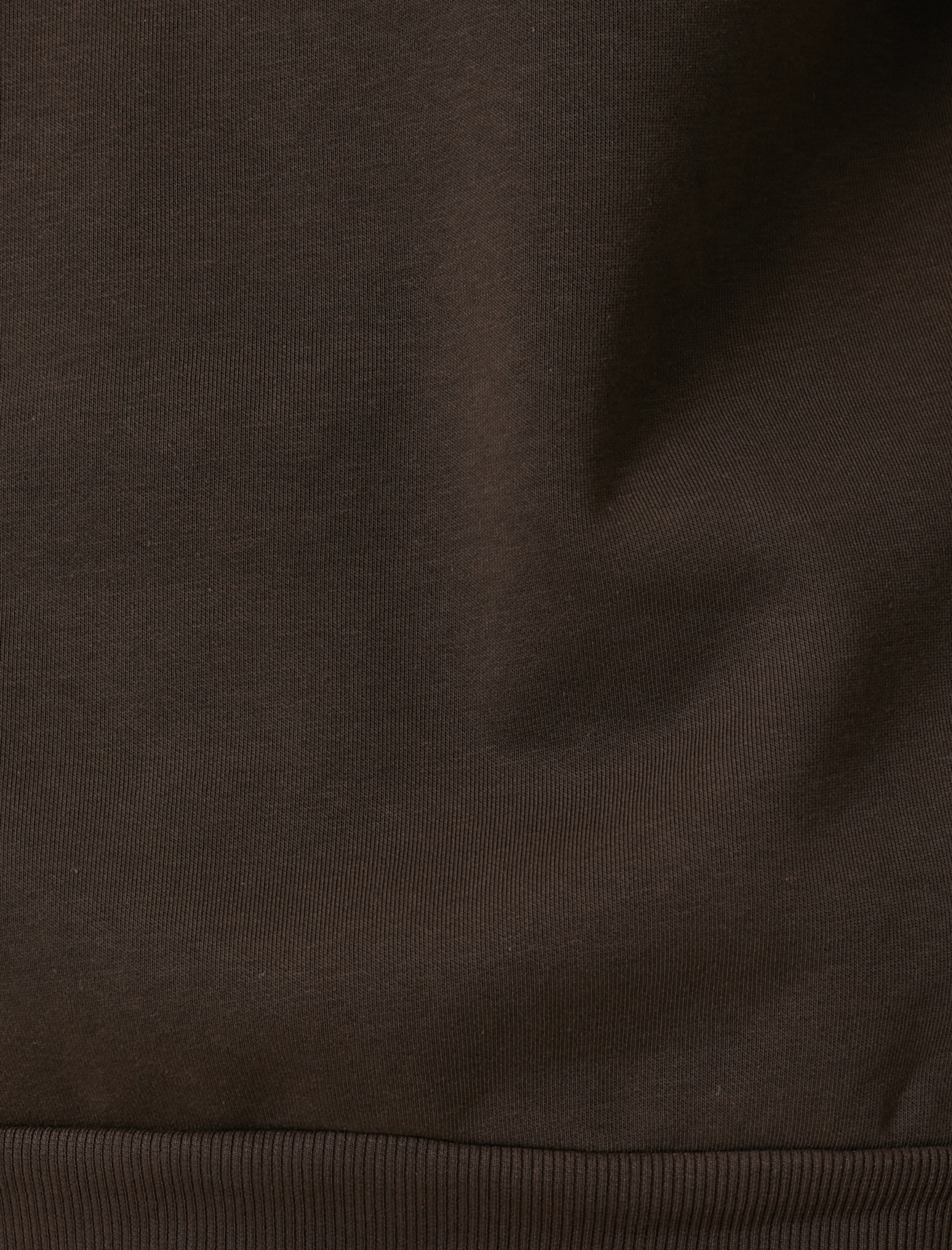   Bisiklet Yaka Sweatshirt Dikiş Detaylı Reglan Kol Şardonlu