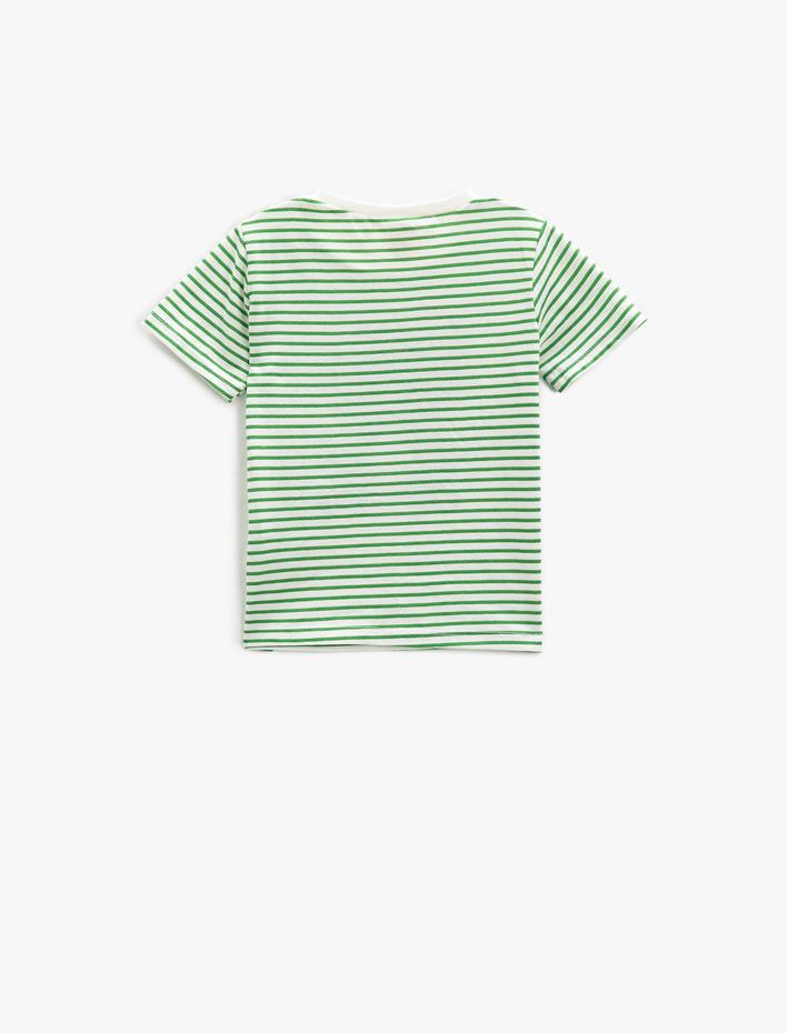 Erkek Bebek Çizgili Tişört Kurbağa Aplike Detaylı Kısa Kollu Bisiklet Yaka