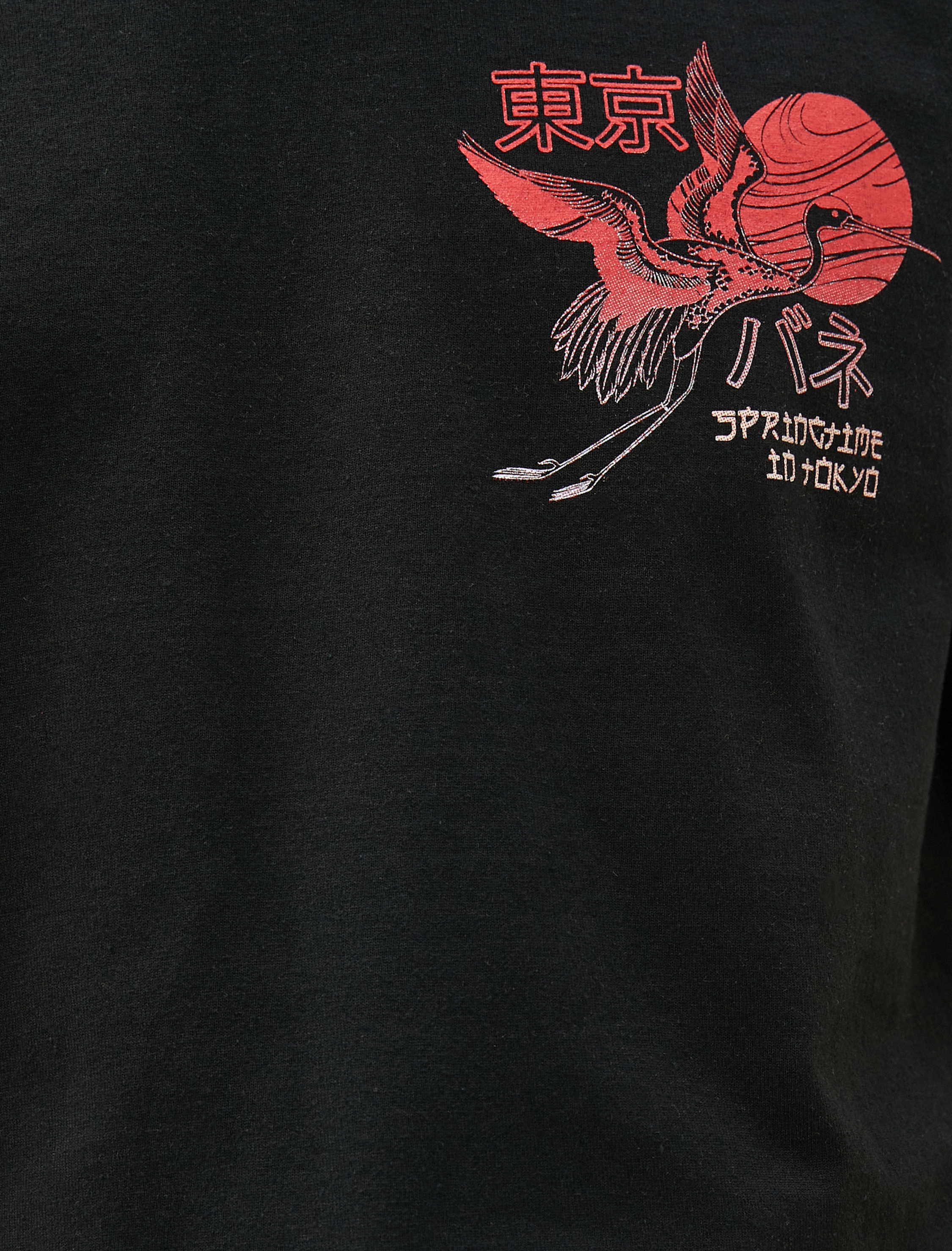   Uzakdoğu Baskılı Tişört Sırt Detaylı Bisiklet Yaka Kısa Kollu