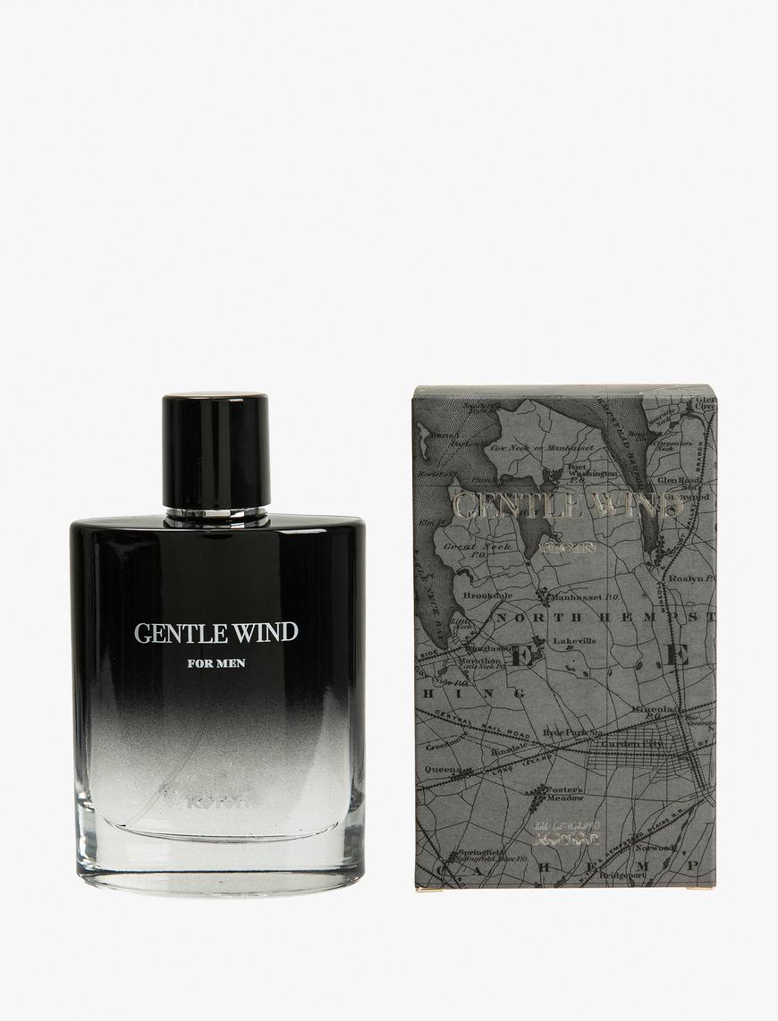  Erkek Parfüm Gentle Wind 100 ML