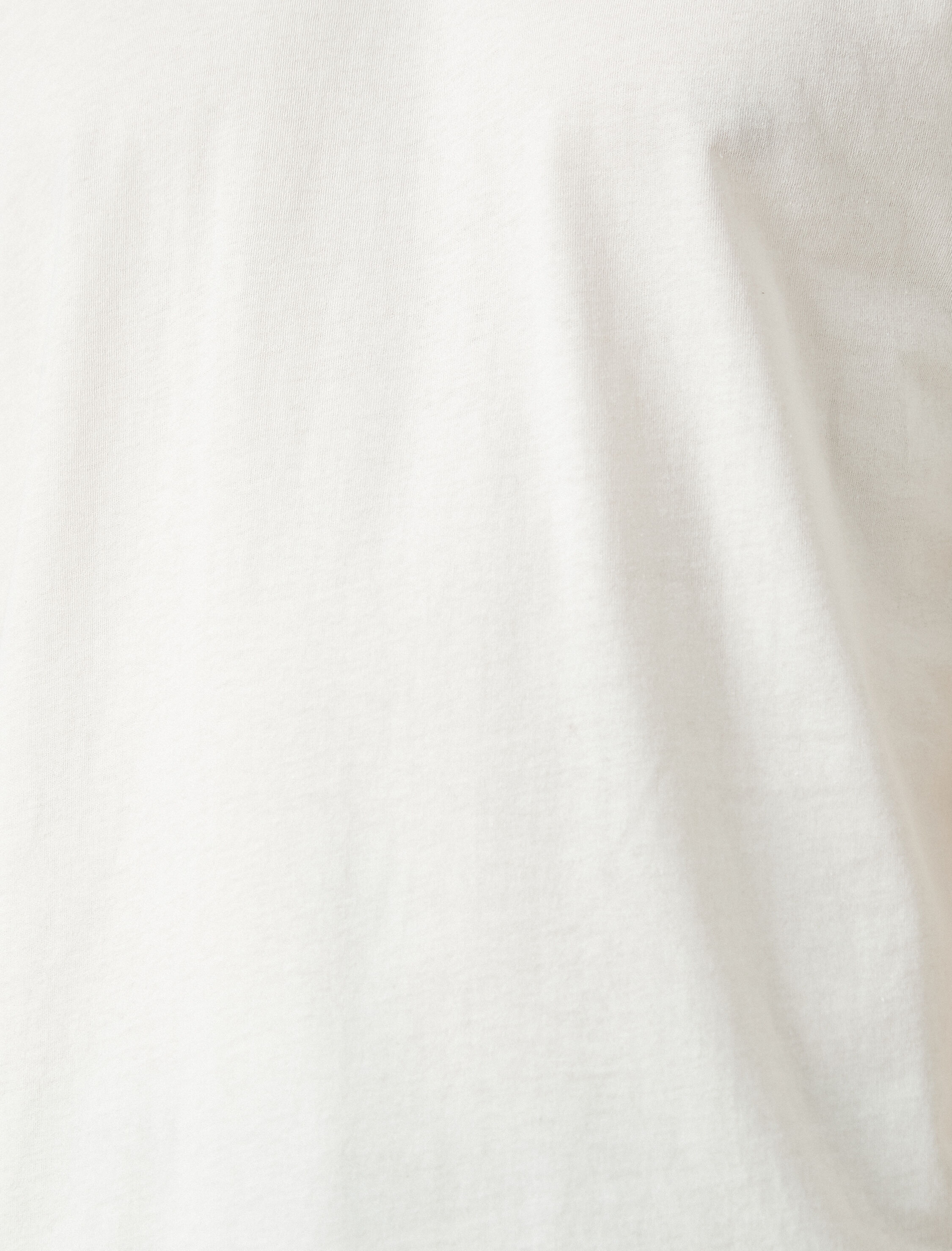   Regular Fit Bisiklet Yaka Basic Tişört