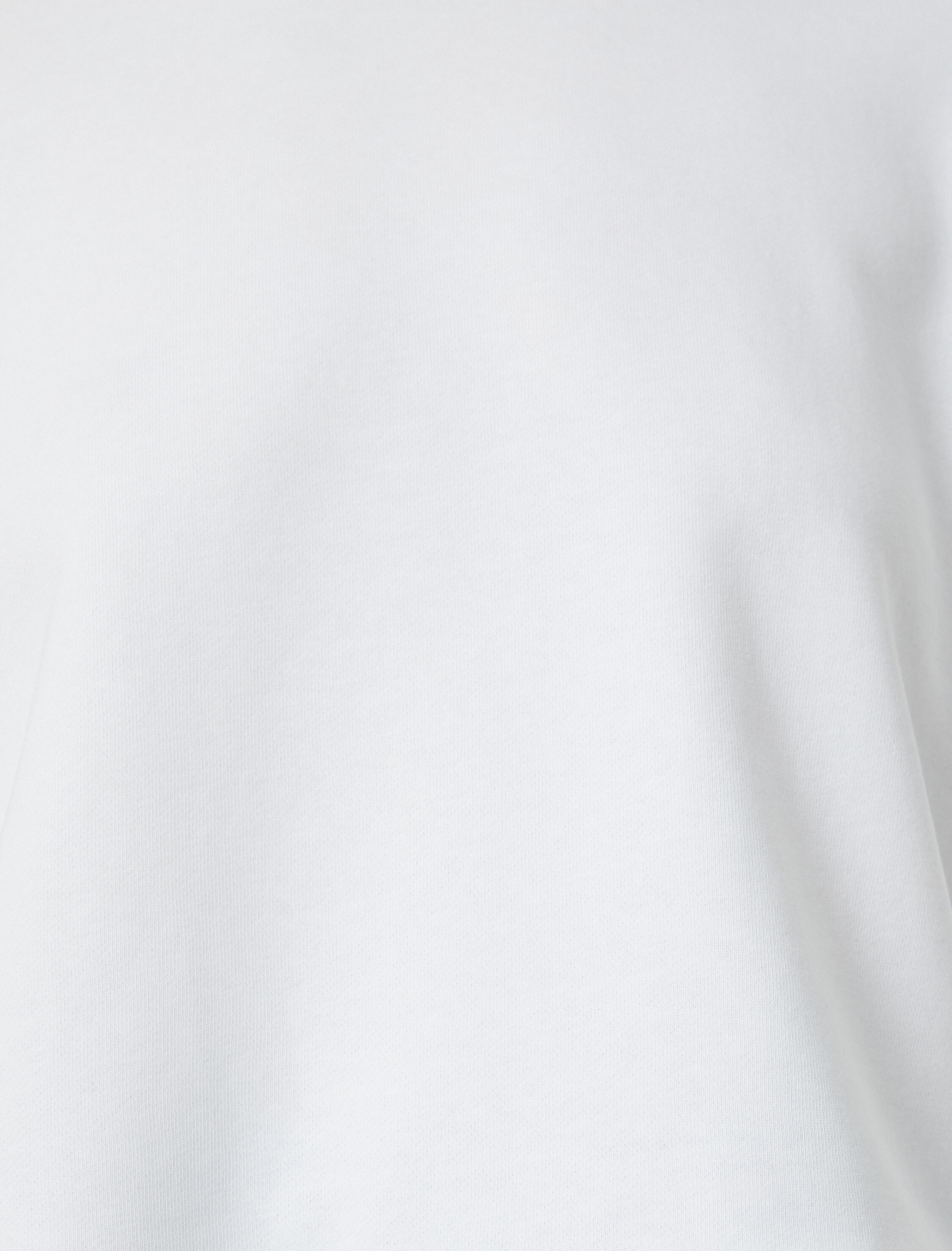   Basic Crop Kalın Sweatshirt