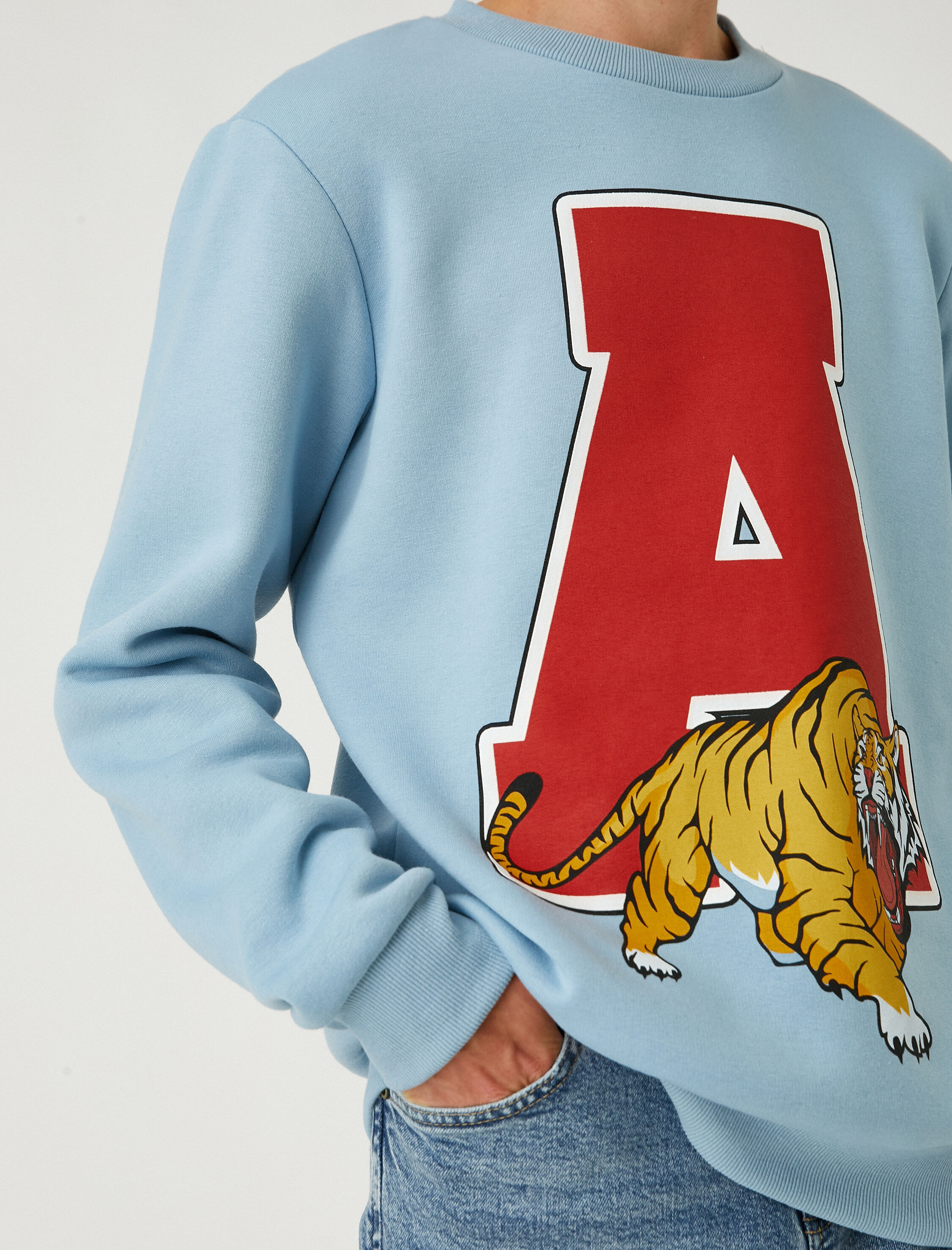   Bisiklet Yaka Sweatshirt Baskılı Şardonlu