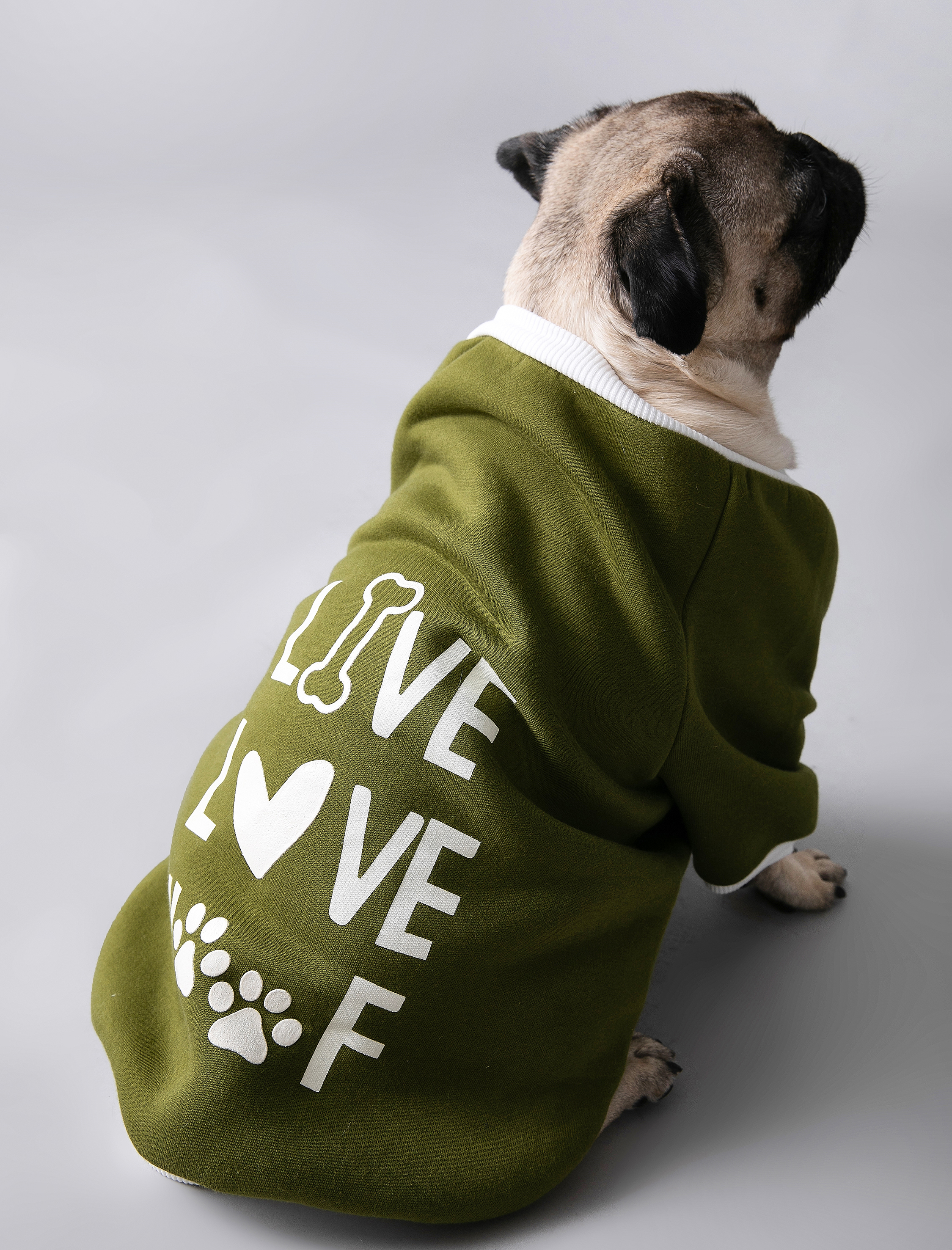   Sloganlı Köpek Sweatshirt