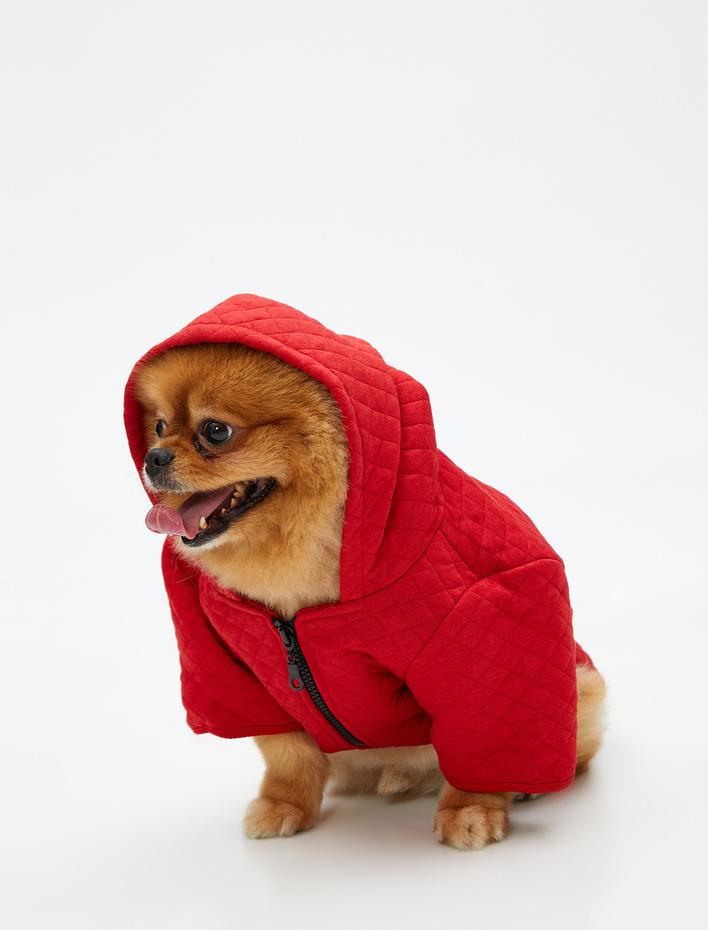  Köpek Sweatshirt