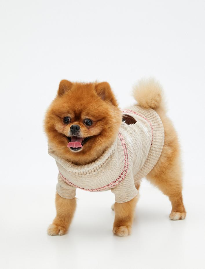 Örgü Köpek Triko Kazak