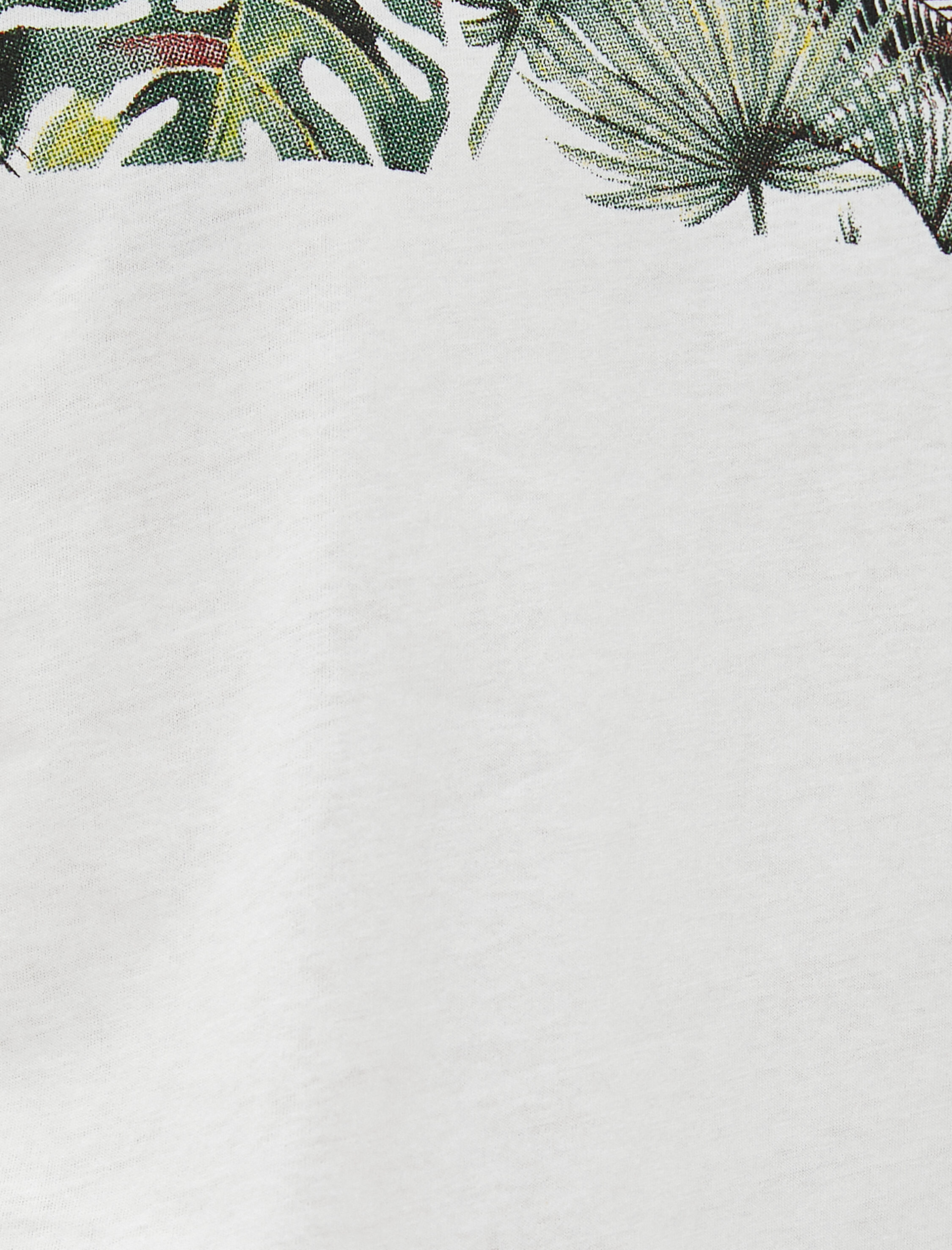   Yaprak Baskılı Tişört Bisiklet Yaka Kısa Kollu Pamuklu