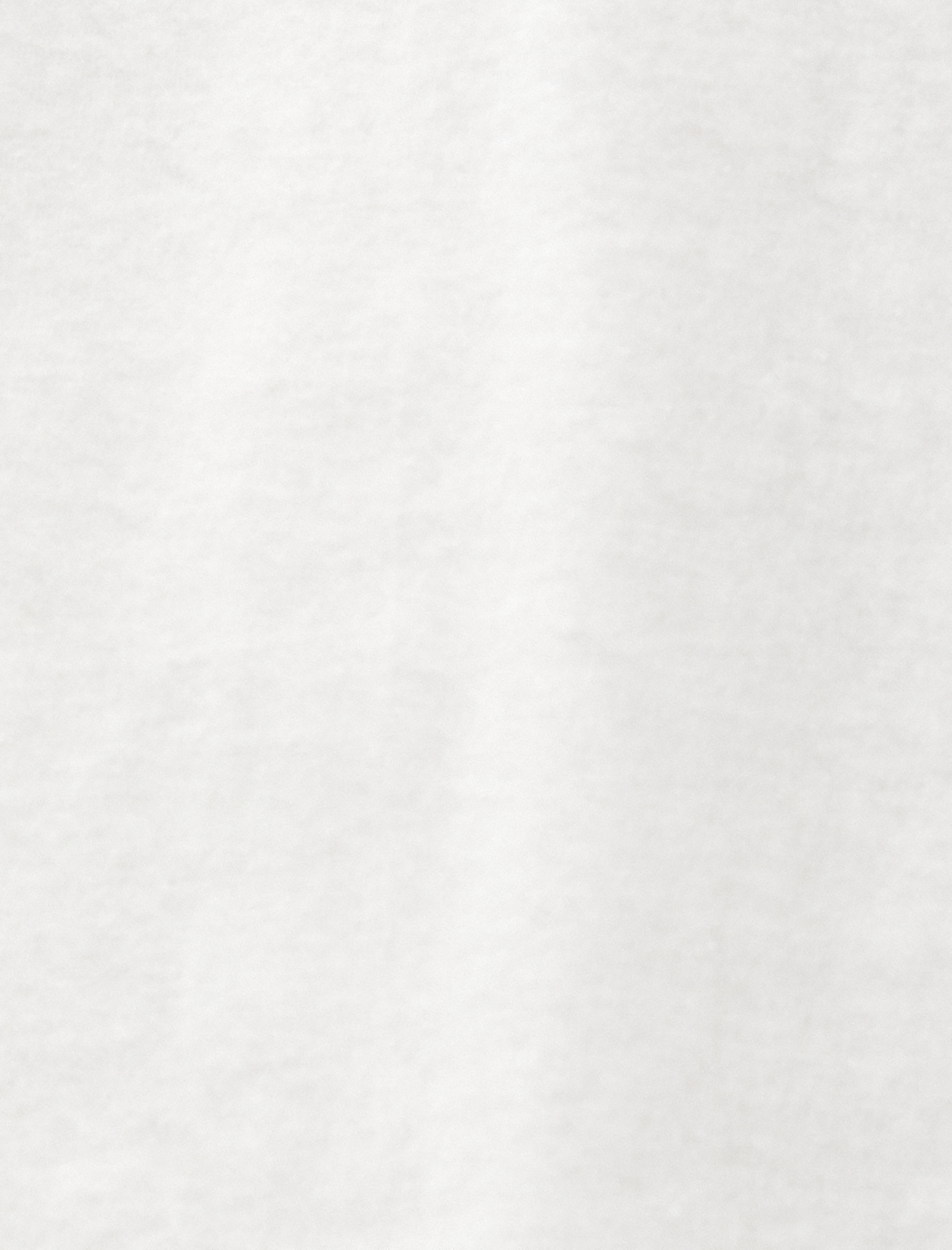   Atatürk Baskılı Tişört 100. Yıla Özel