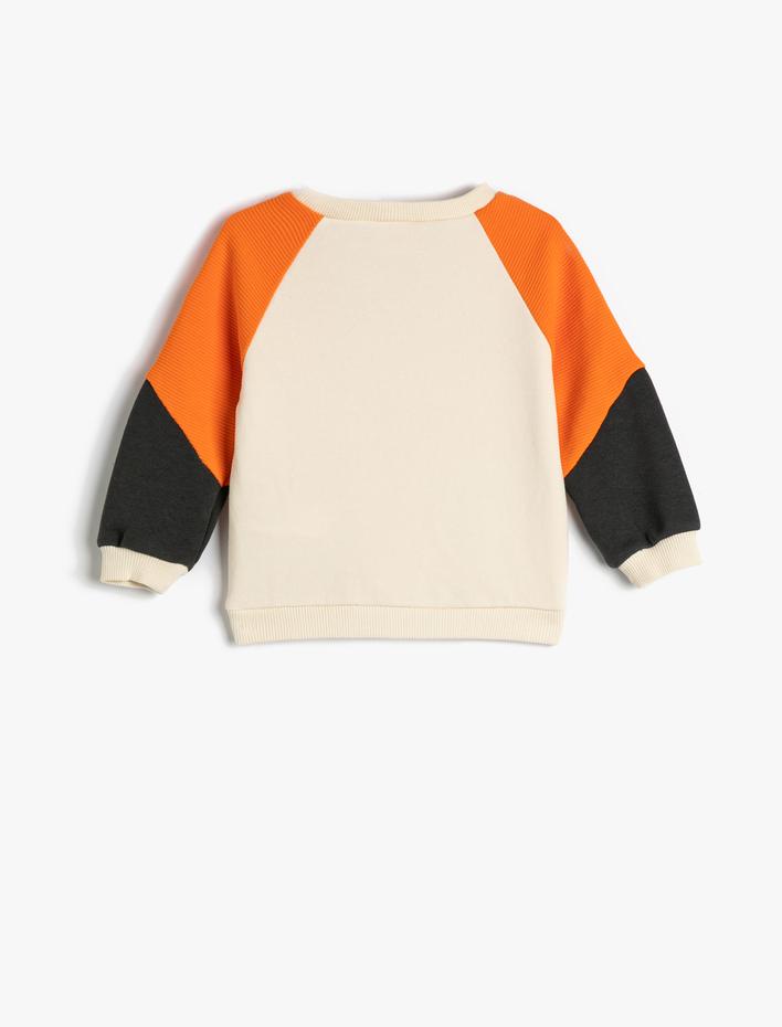 Erkek Bebek Sweatshirt Renk Bloklu Uzun Kollu Bisiklet Yaka Dokulu