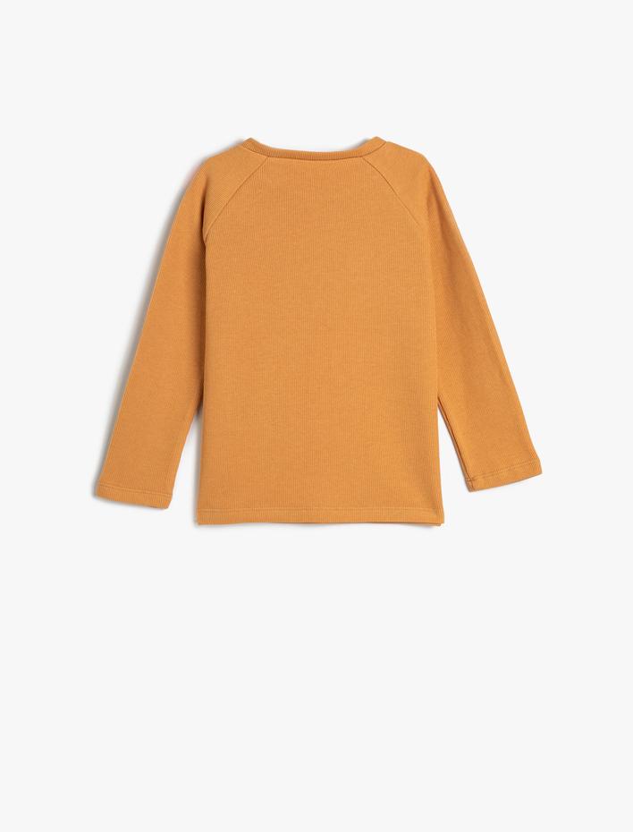 Erkek Bebek Basic Sweatshirt Yakası Düğmeli Bisiklet Yaka Ribanalı Pamuklu