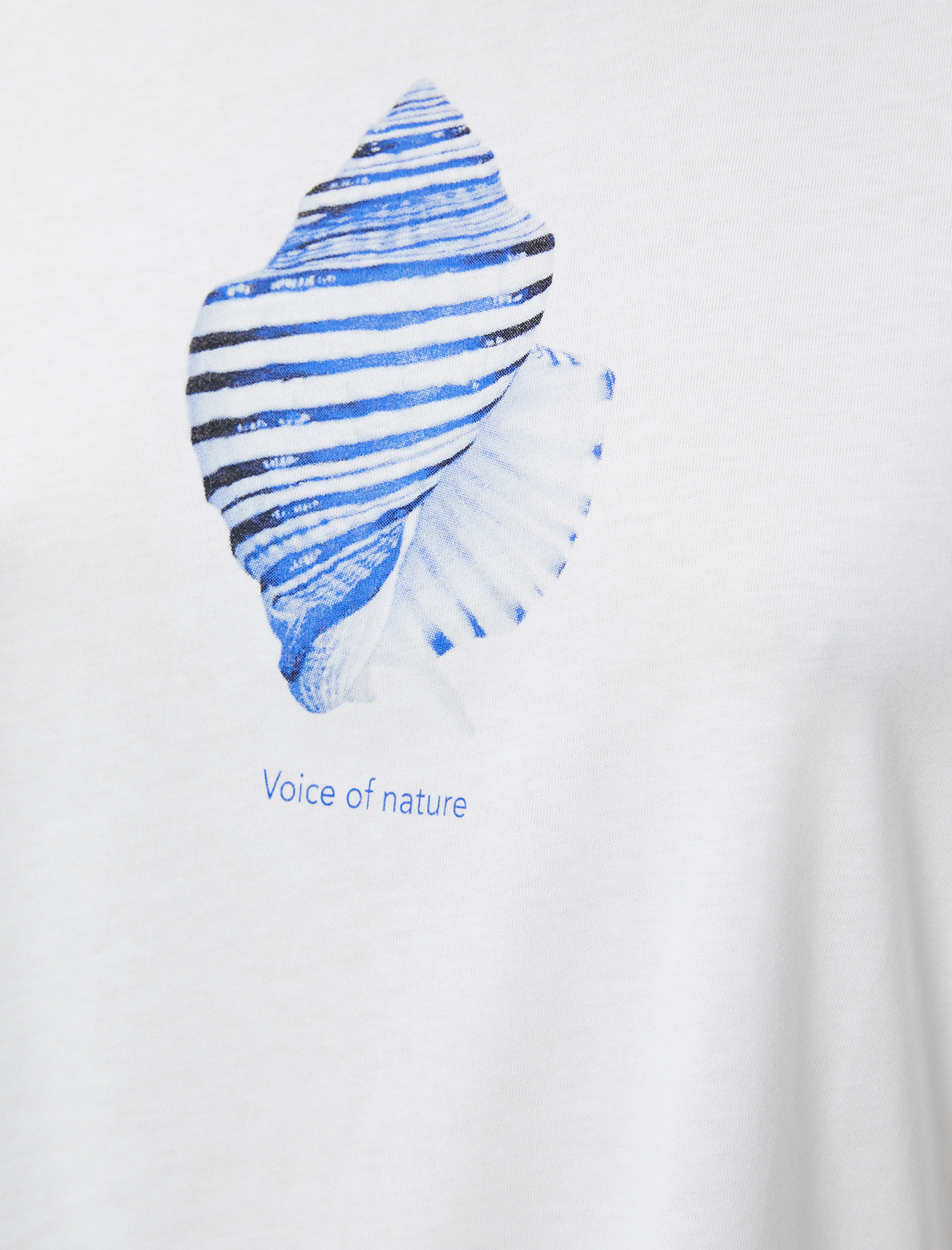   Koton X Şahika Ercümen - Deniz Kabuğu Baskılı Pamuklu Tişört