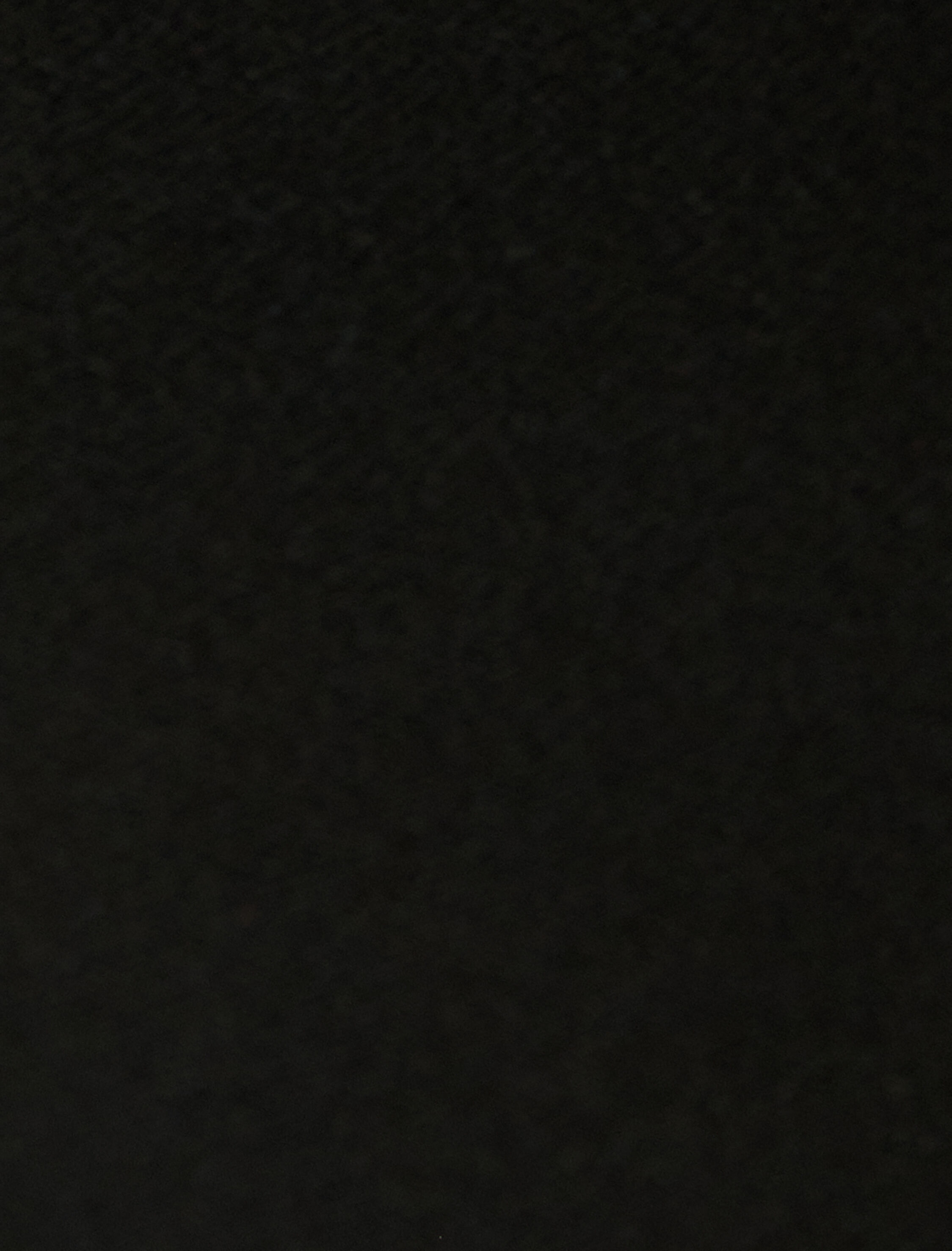   İspanyol Paça Tayt Normal Bel