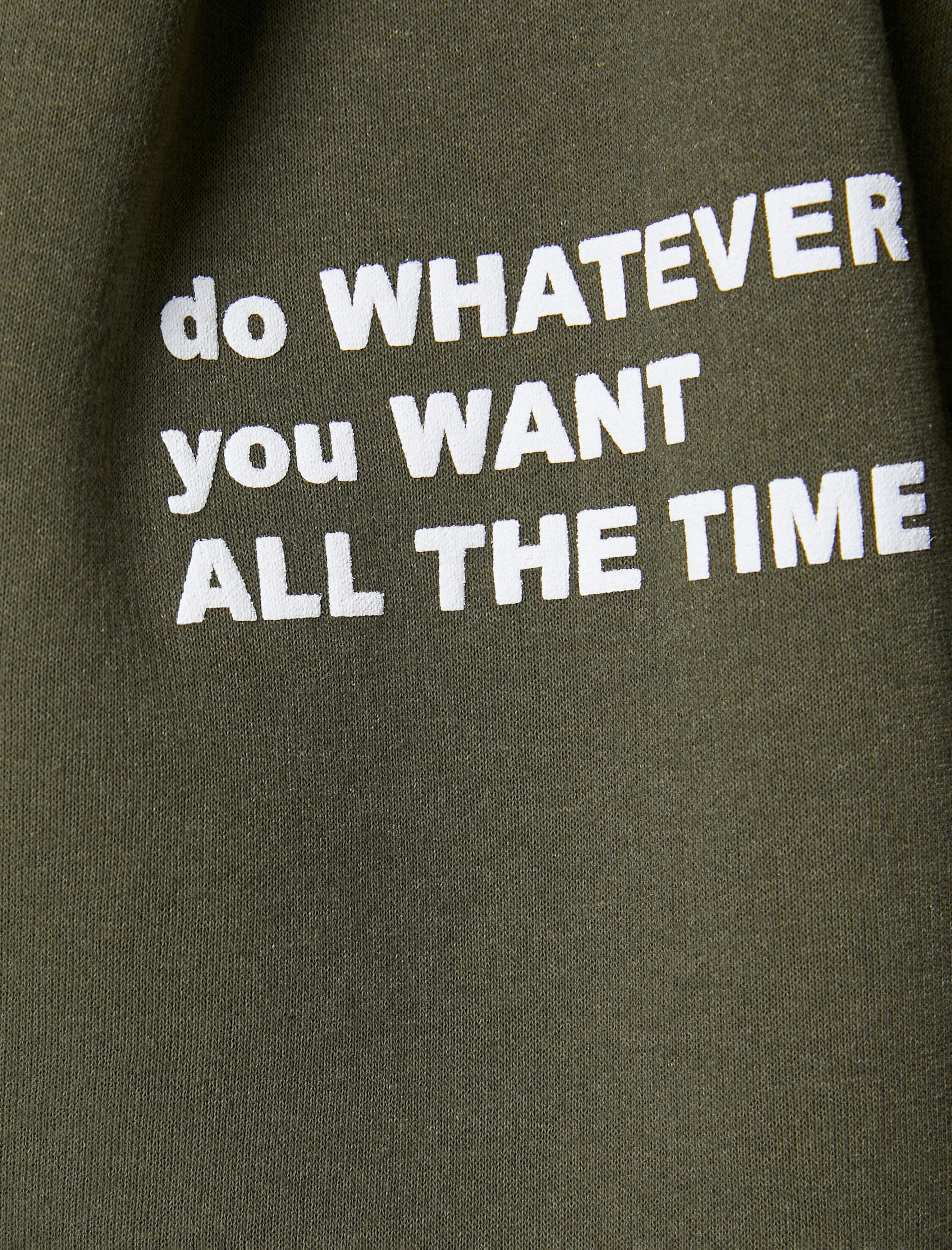   Şardonlu Fermuarlı Sweatshirt Kapüşonlu Slogan Baskılı Cepli İçi Polarlı