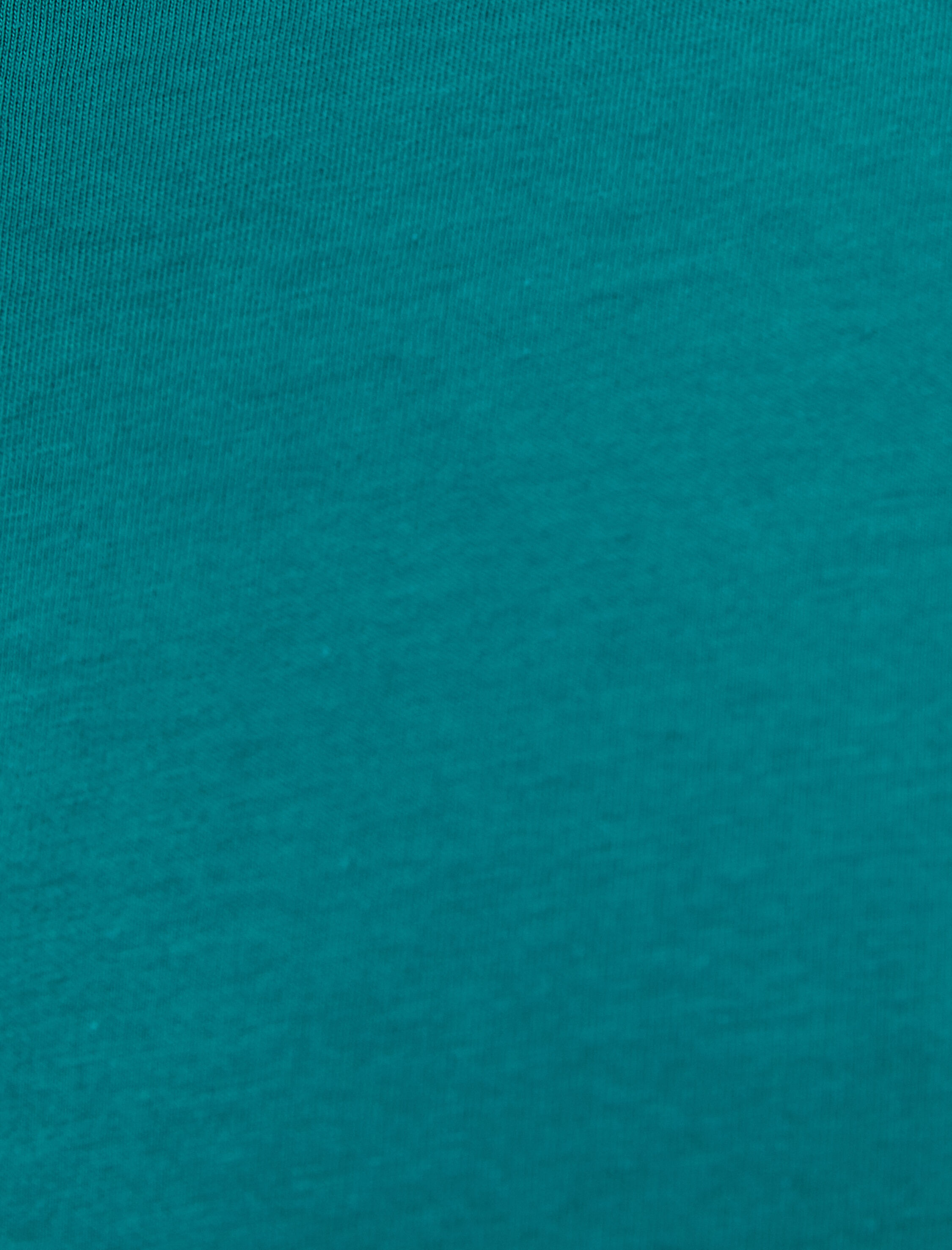   Basic Tişört Bisiklet Yaka Kısa Kollu Pamuklu