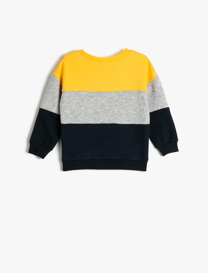 Erkek Bebek Sweatshirt Renk Bloklu Bisiklet Yaka Pamuklu