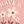 Kapşonlu Sweatshirt Şardonlu Çiçek Baskılı Pamuklu-274