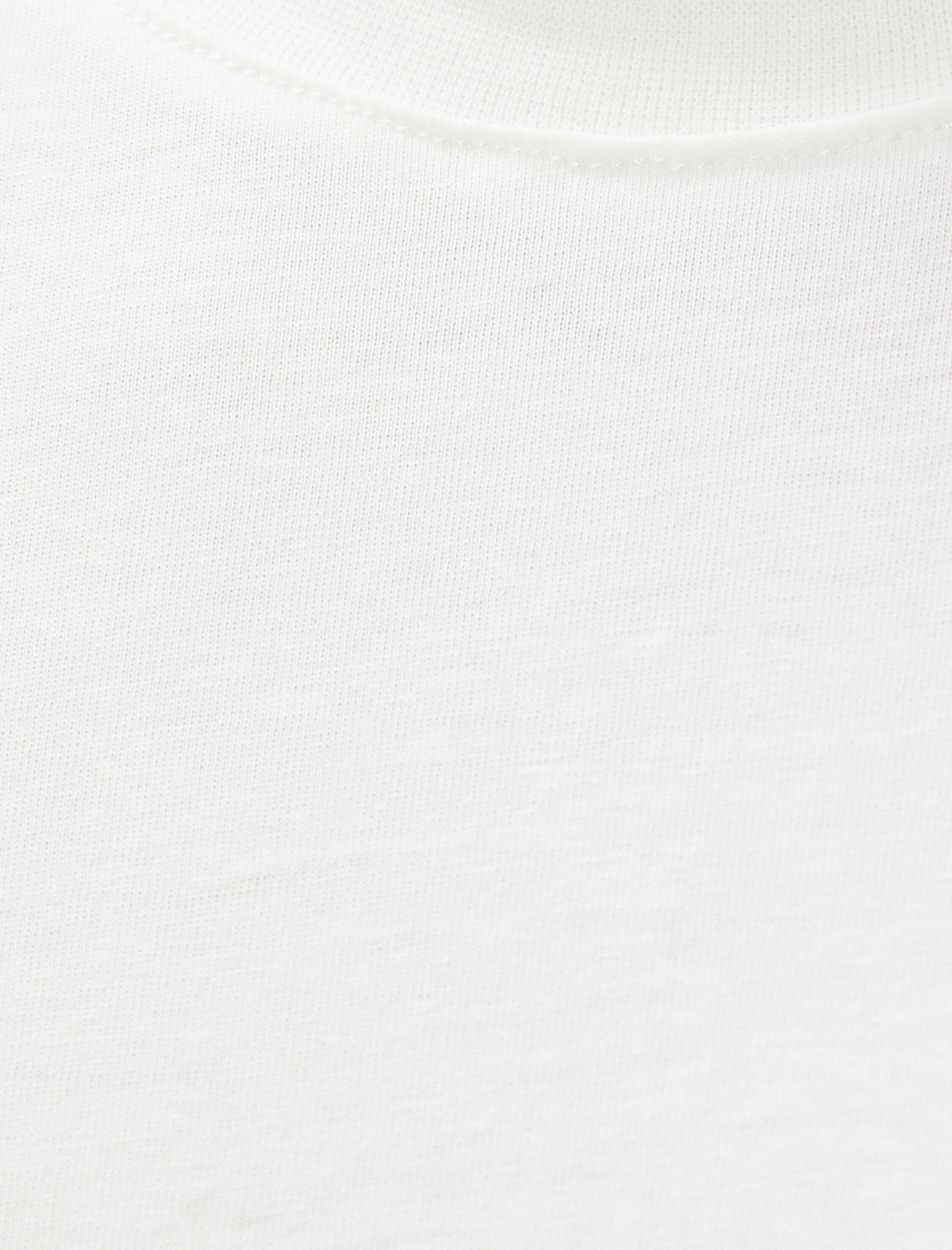   Basic Tişört Slim Fit Bisiklet Yaka Pamuklu