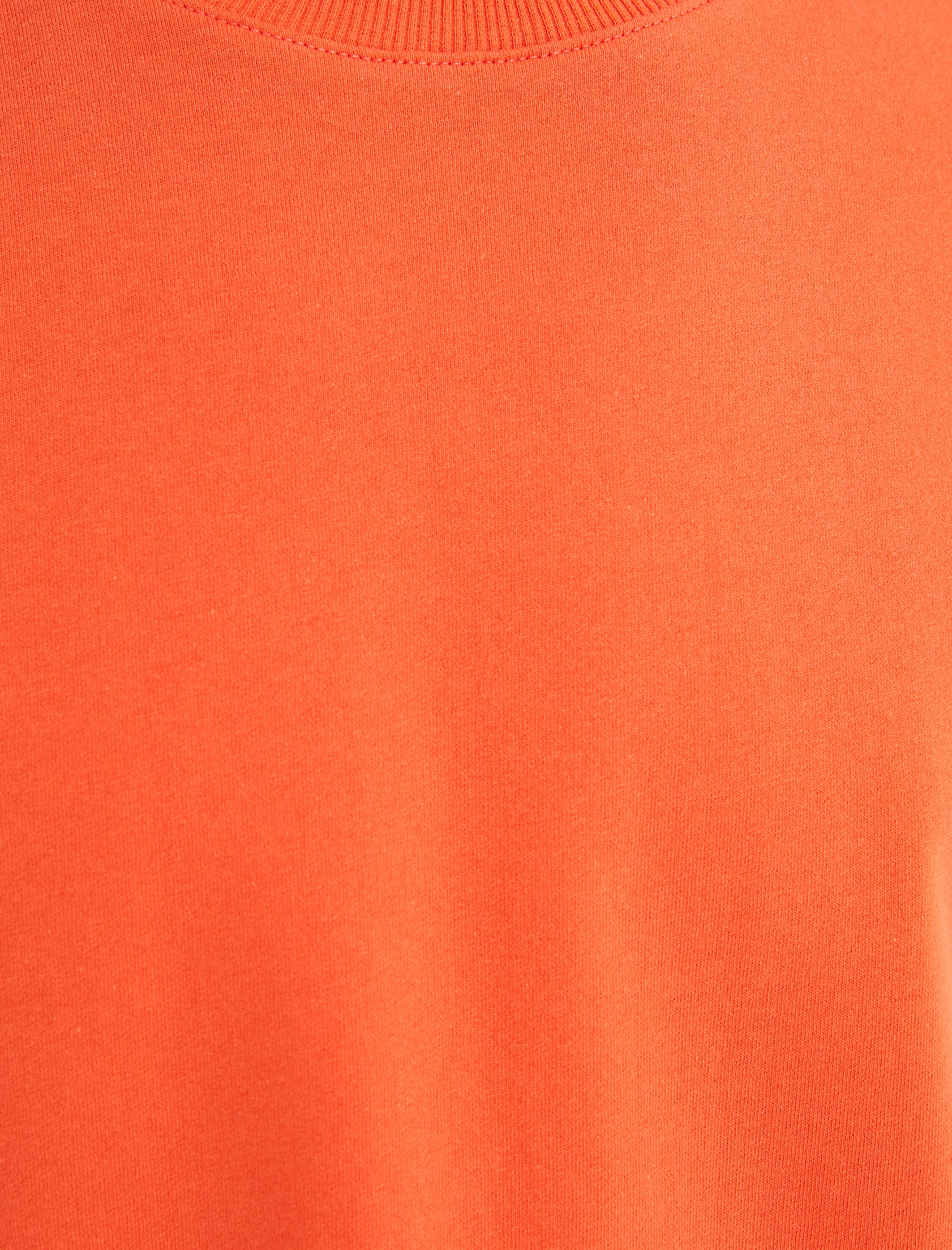   Basic Oversize Tişört Bisiklet Yaka Kısa Kollu Pamuklu