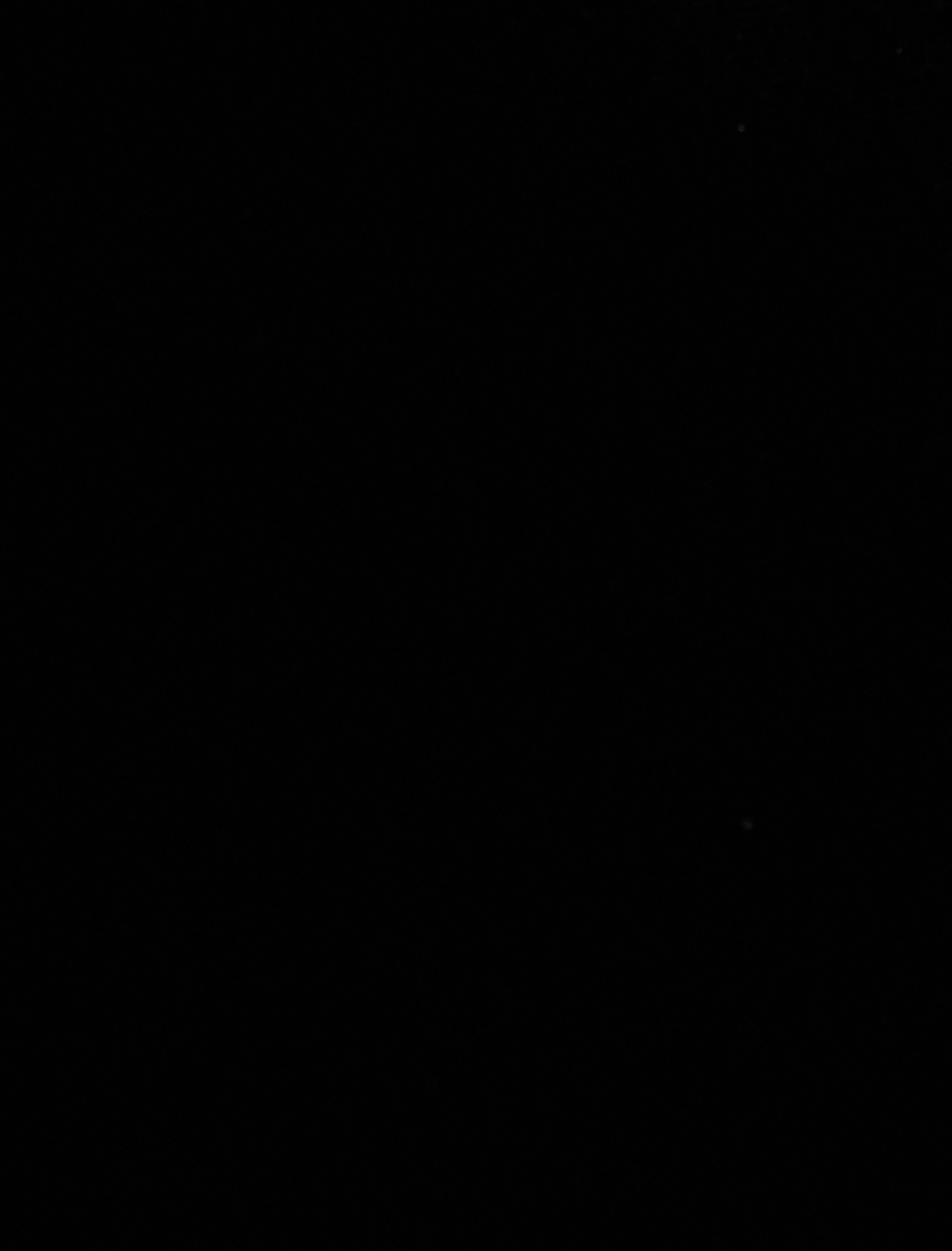   Kadife Üst Yarım Fermuarlı Dik Yaka Kolsuz