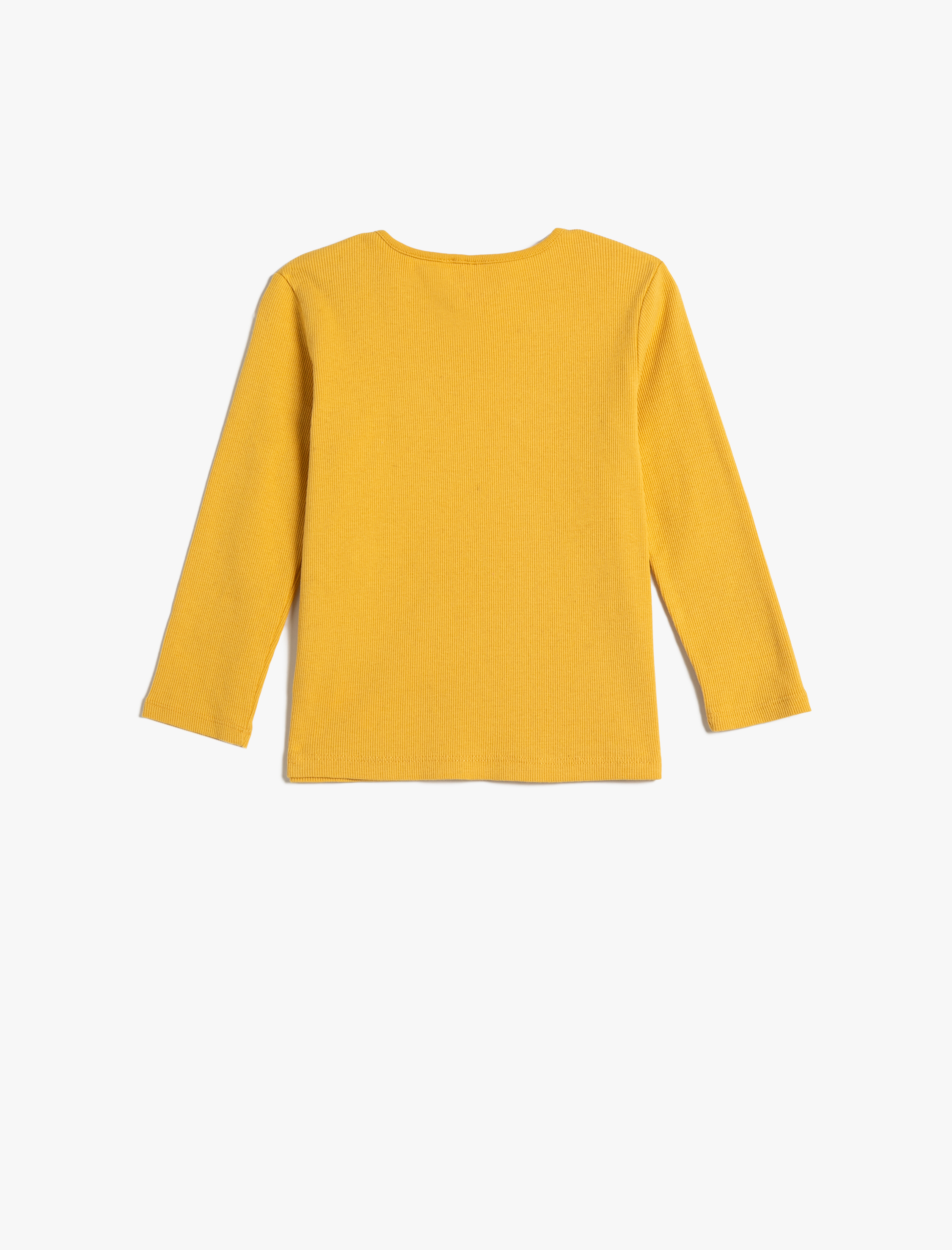 Erkek Bebek Tişört Uzun Kollu Bisiklet Yaka Kaşkorse Aslan İşleme Detaylı Pamuklu